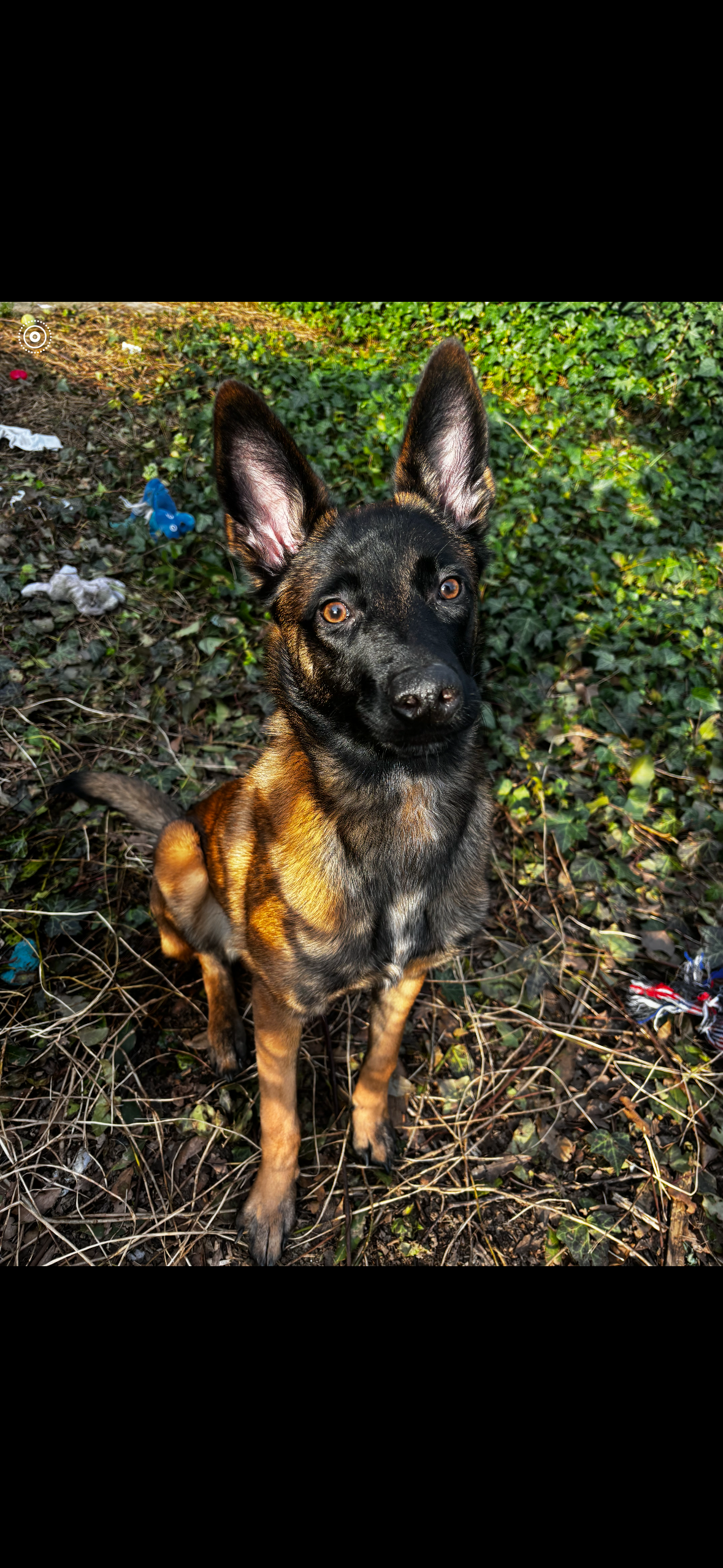 Mya - 3 Rue du Prieuré, Cergy