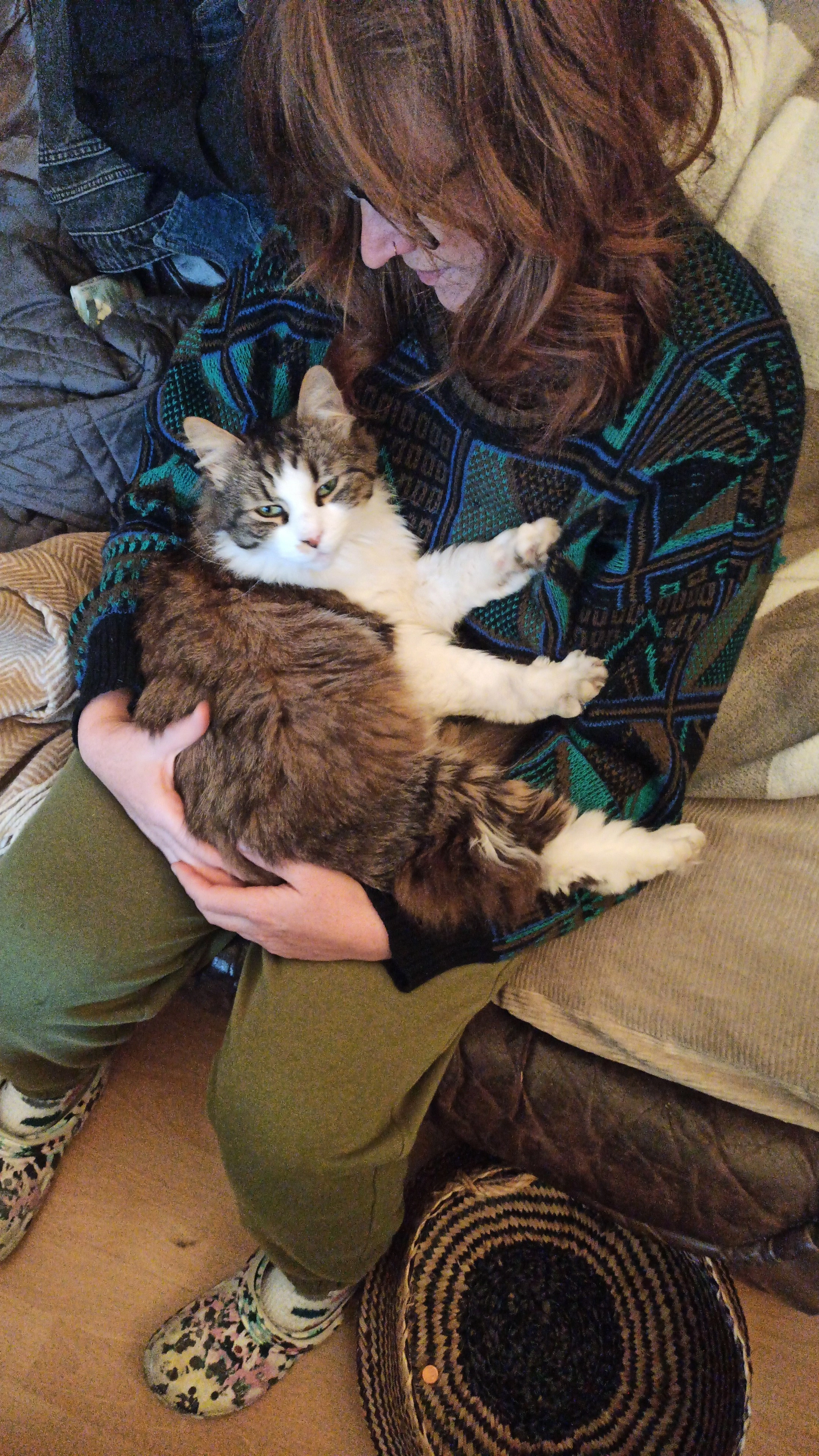 Helge - Drachterstraße, Münster