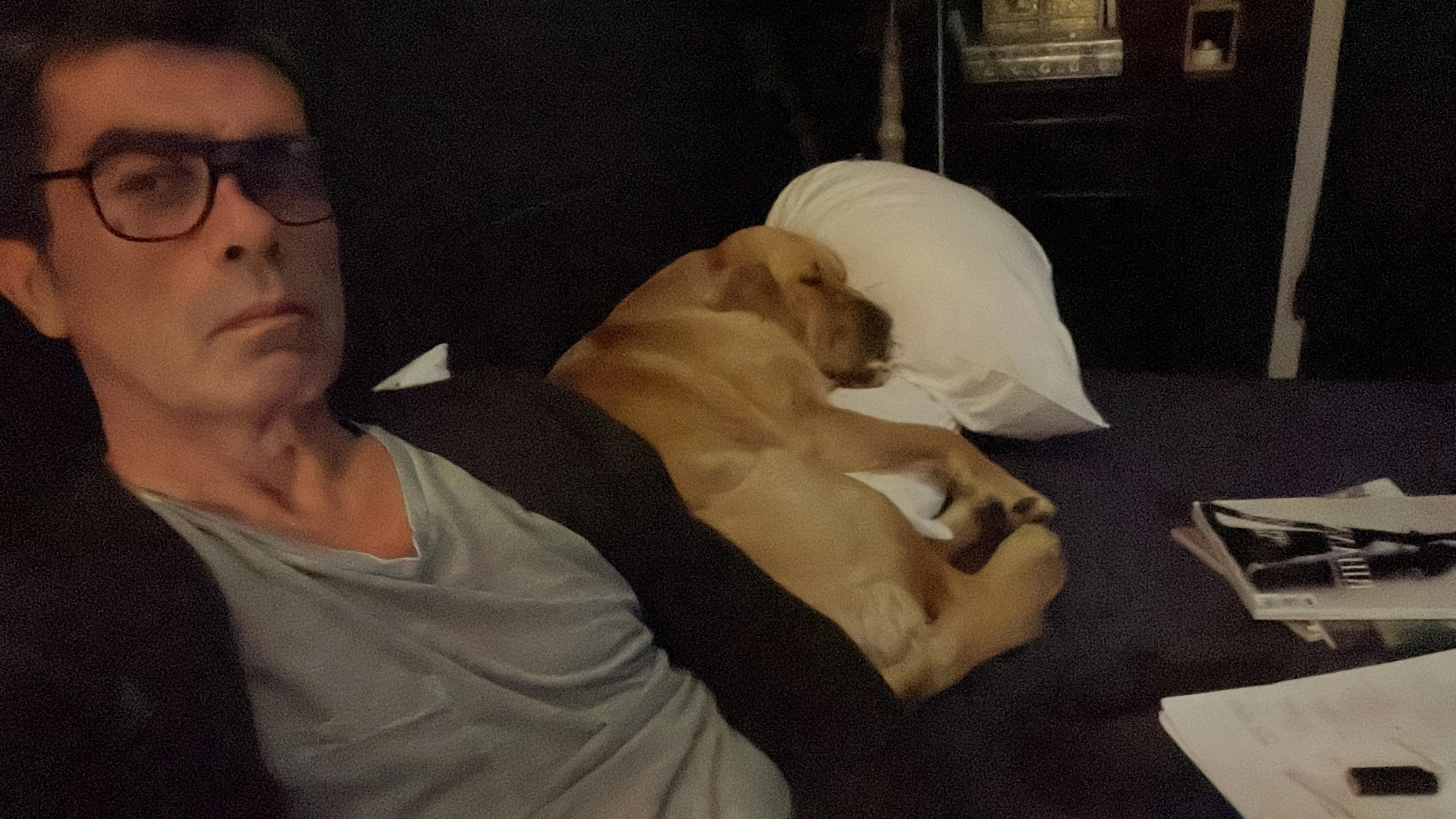 Liv - 40 Rue Pablo Picasso, Fayet