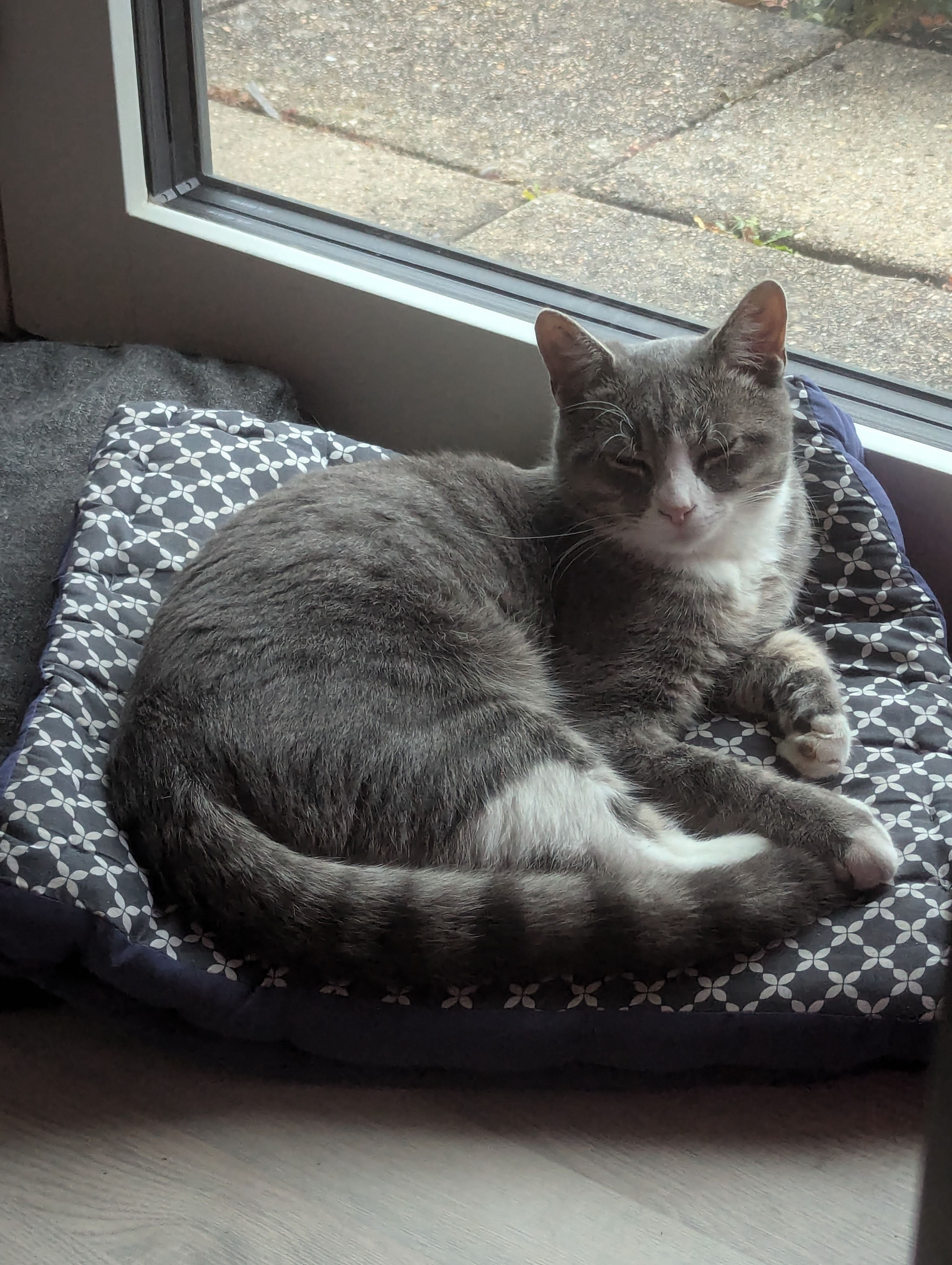 Han (Barbados) - Flintebakken, Risskov