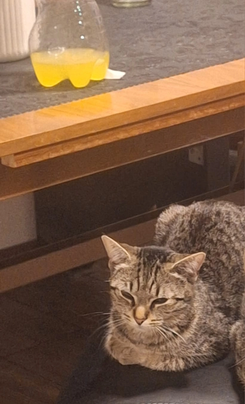 Lina - Erninger Straße, Nördlingen