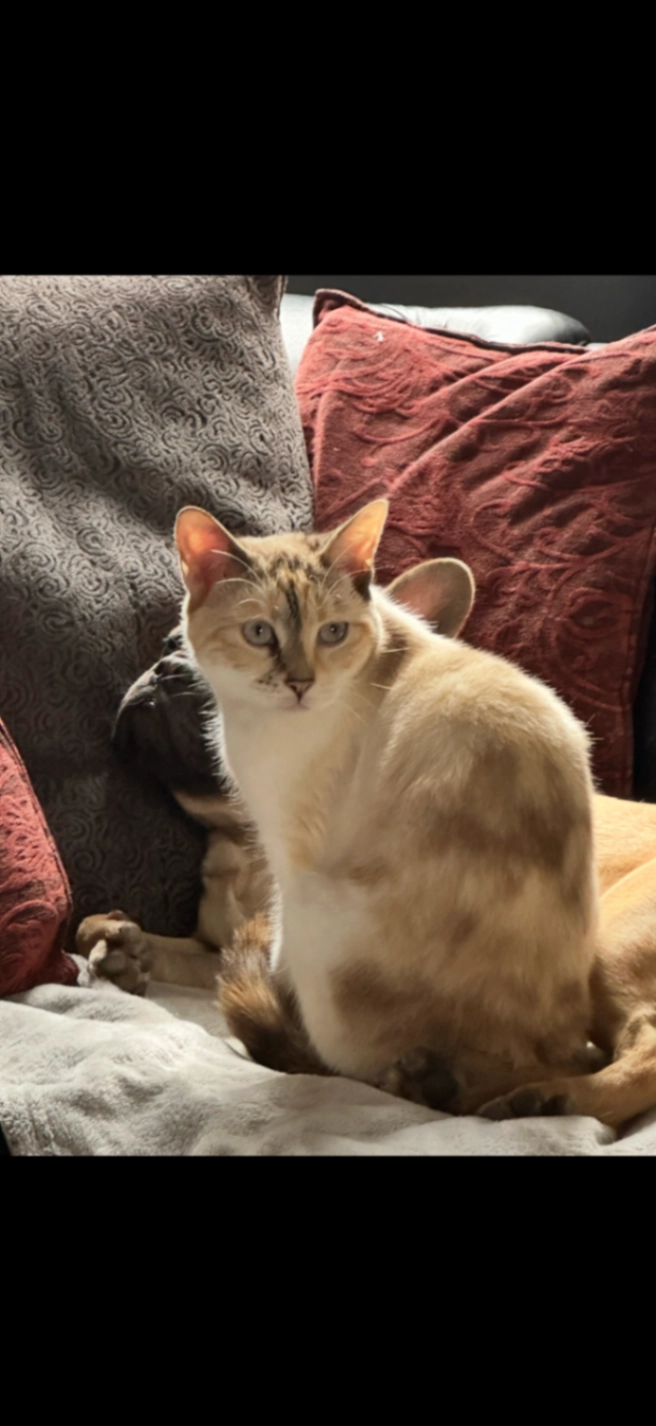 Mouse or Morpheus - Garden Road, Nottingham