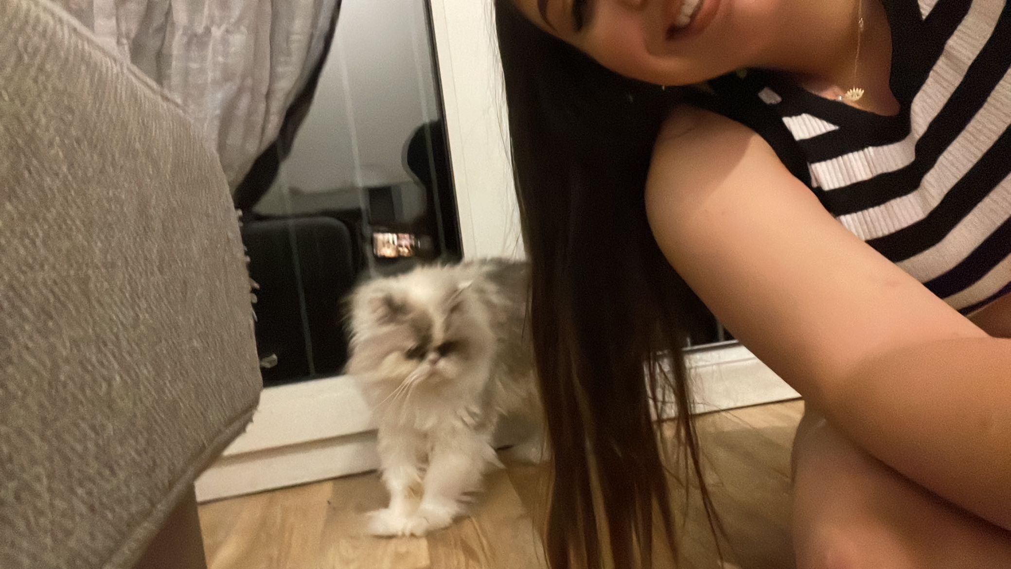 Rajah - 117 Rue Saint-Joseph, Compiègne