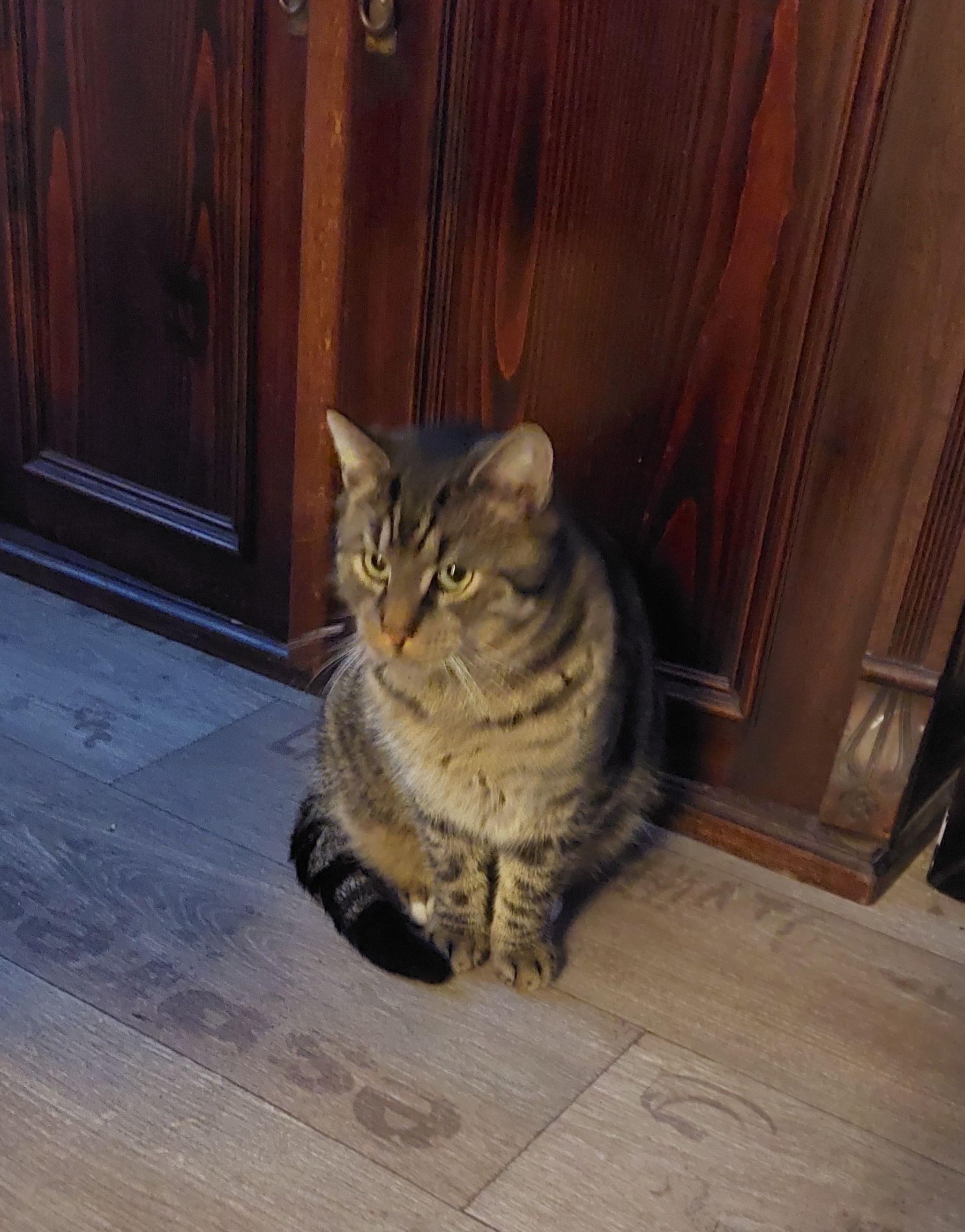 Grischa - 01968, Schipkau