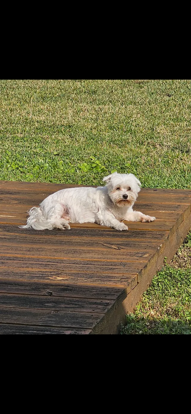 Boo - East Hallandale Beach Boulevard, Hallandale Beach