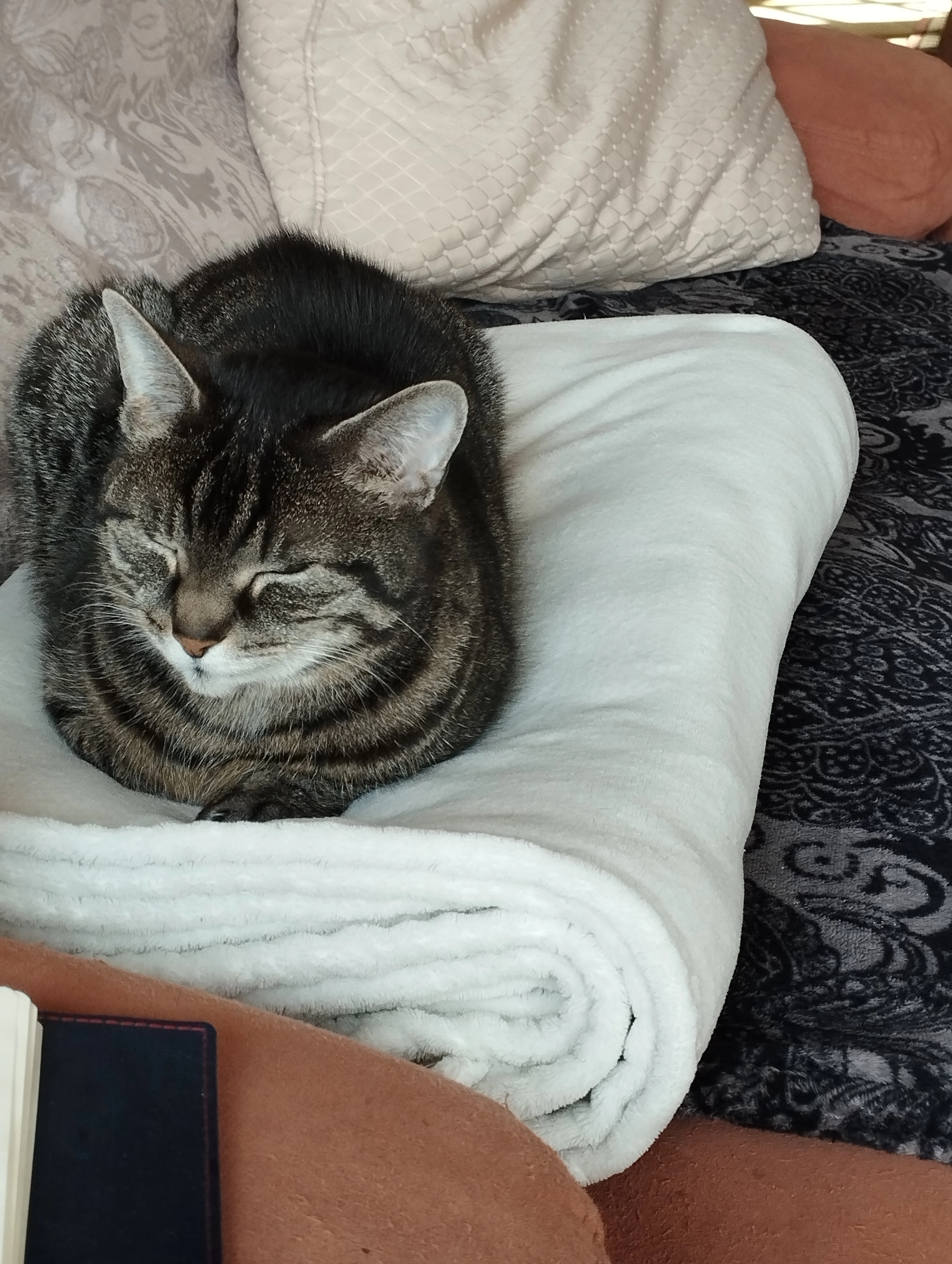 Lysia - Rue Gustave Couturier, Fécamp