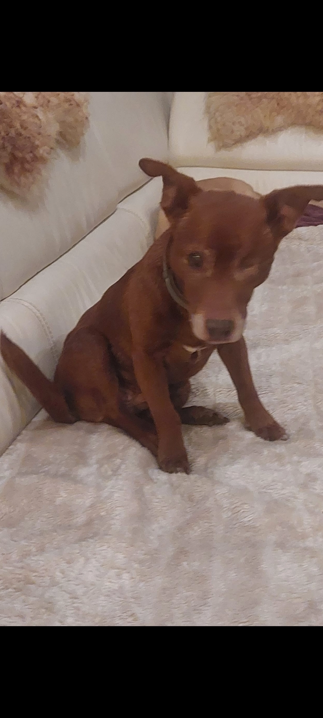 Lucky - Kanaalweg, Rotterdam