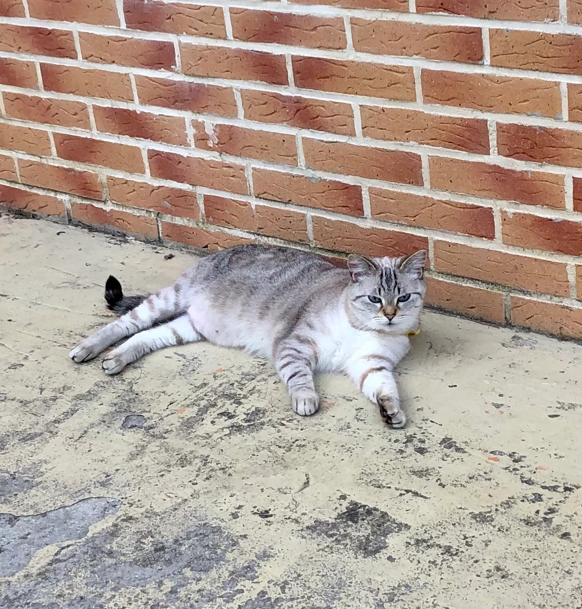 Mia - 1 Rue Neuve, Rubempré