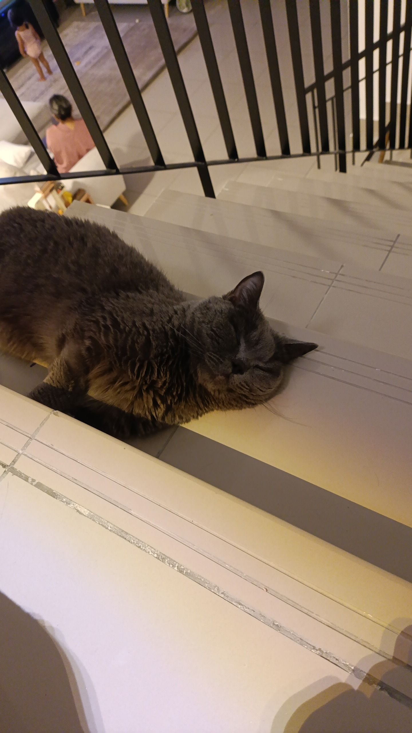 Ruy shah - 63300, Cyberjaya