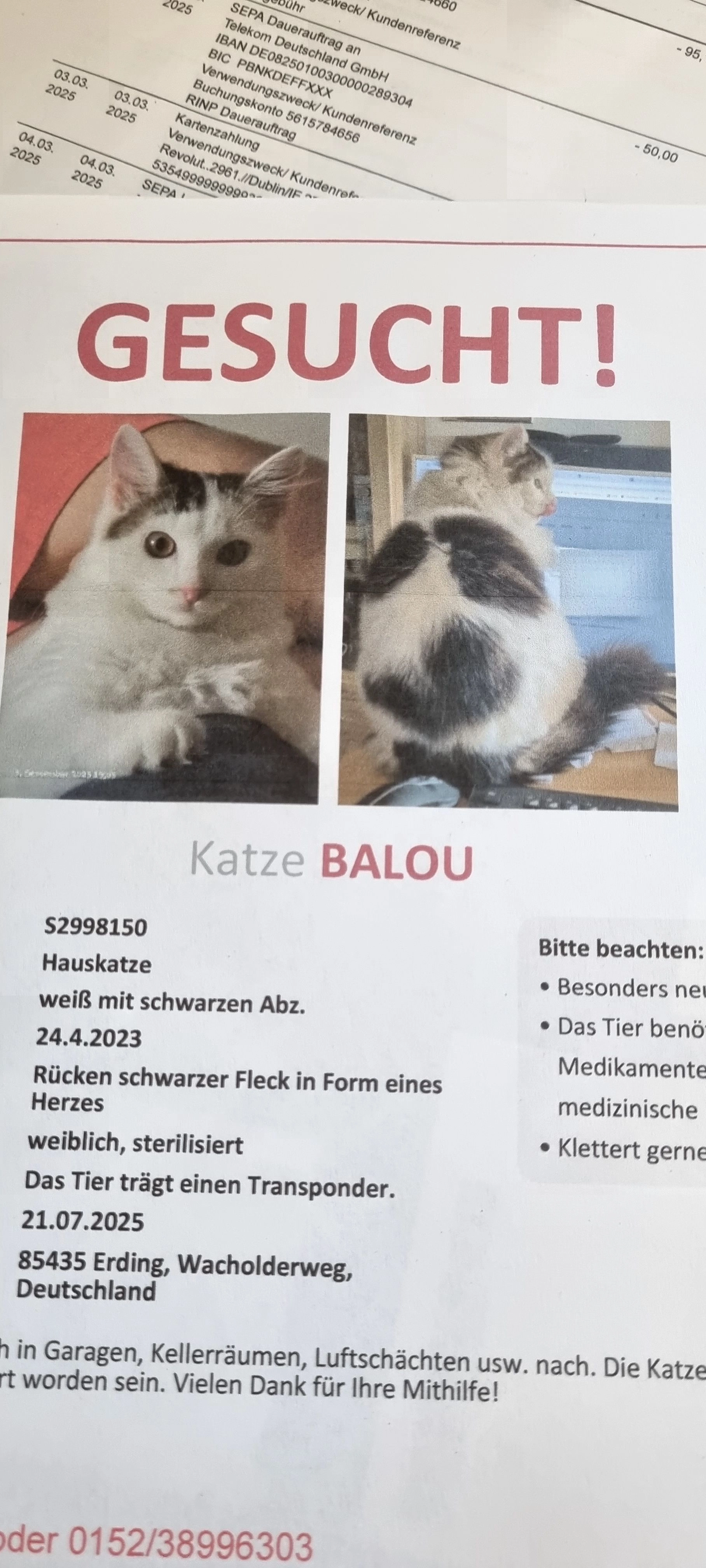 Balou - Wacholderweg, Erding