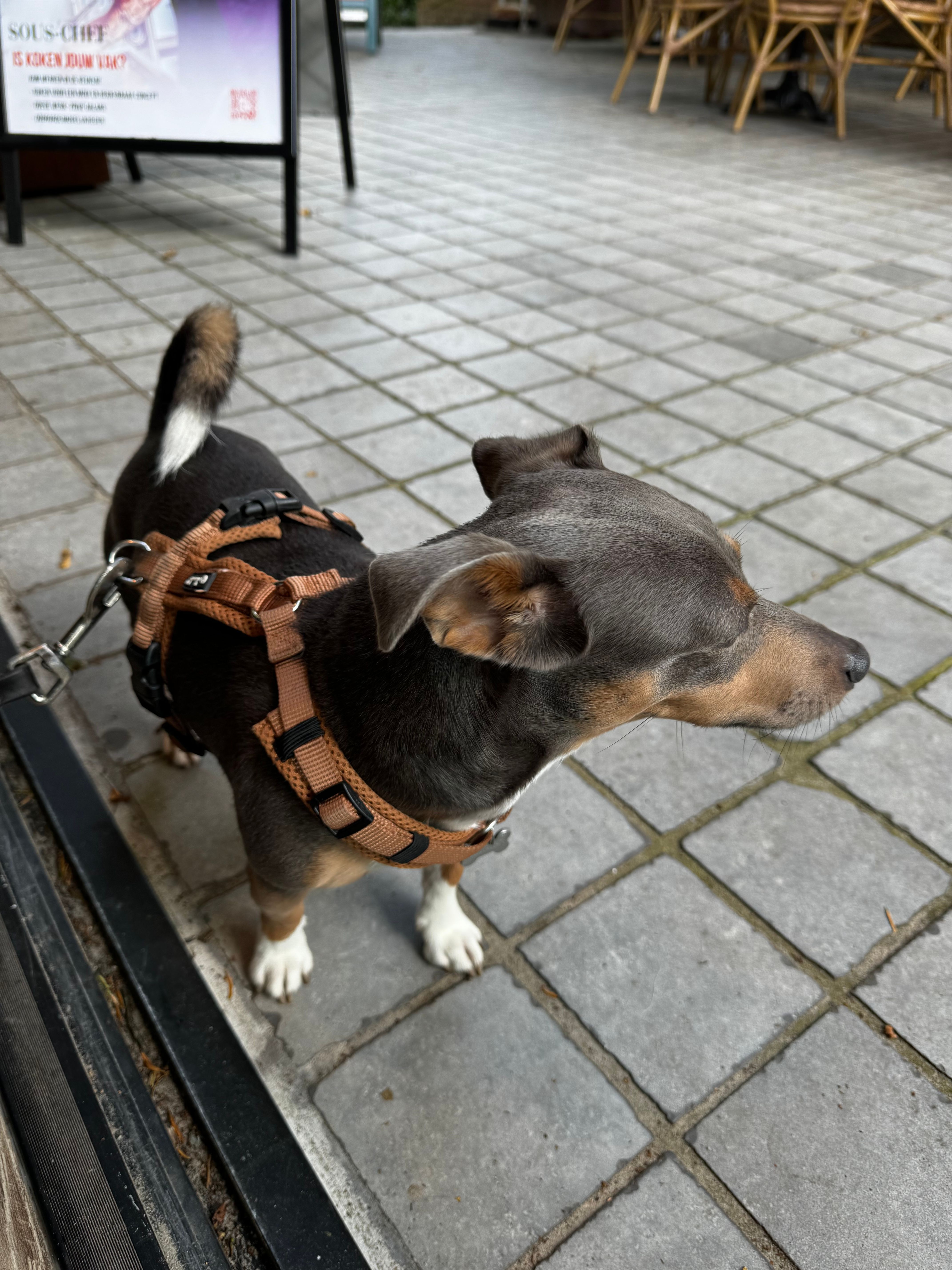 Navy - Louis Bouwmeesterplein, Middelharnis