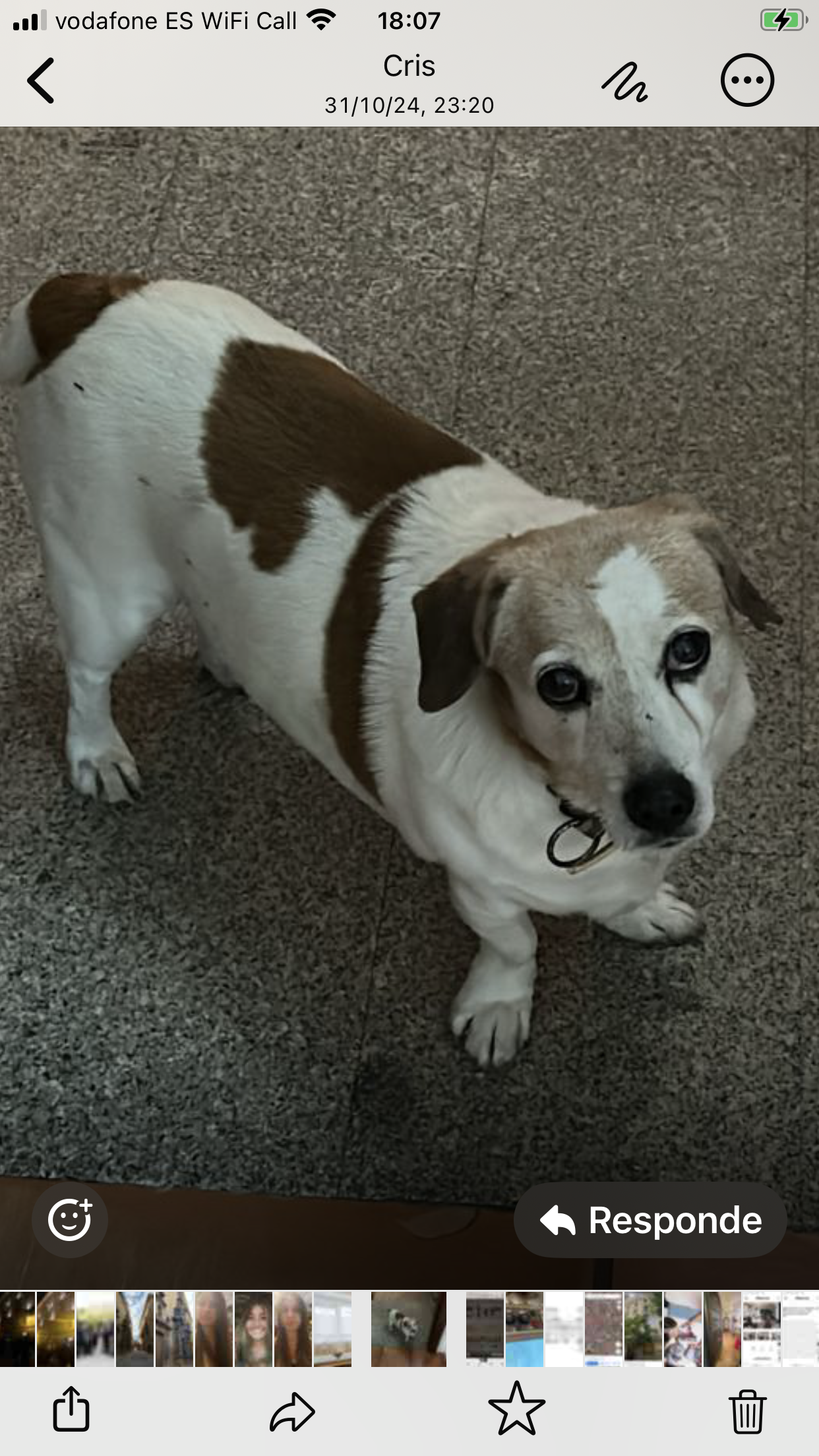 Jaki - Lugar Las Pueblas, Colmenar Viejo