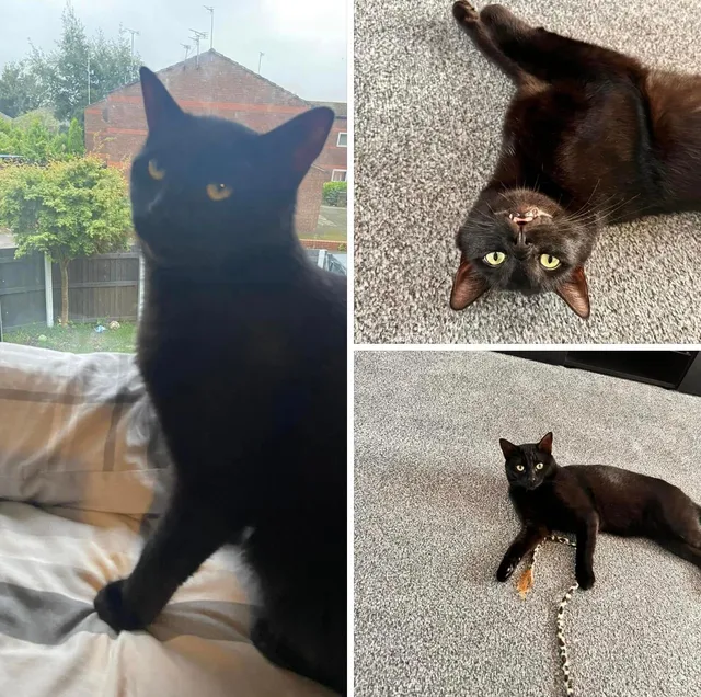 Noodle - WA8 7, Widnes
