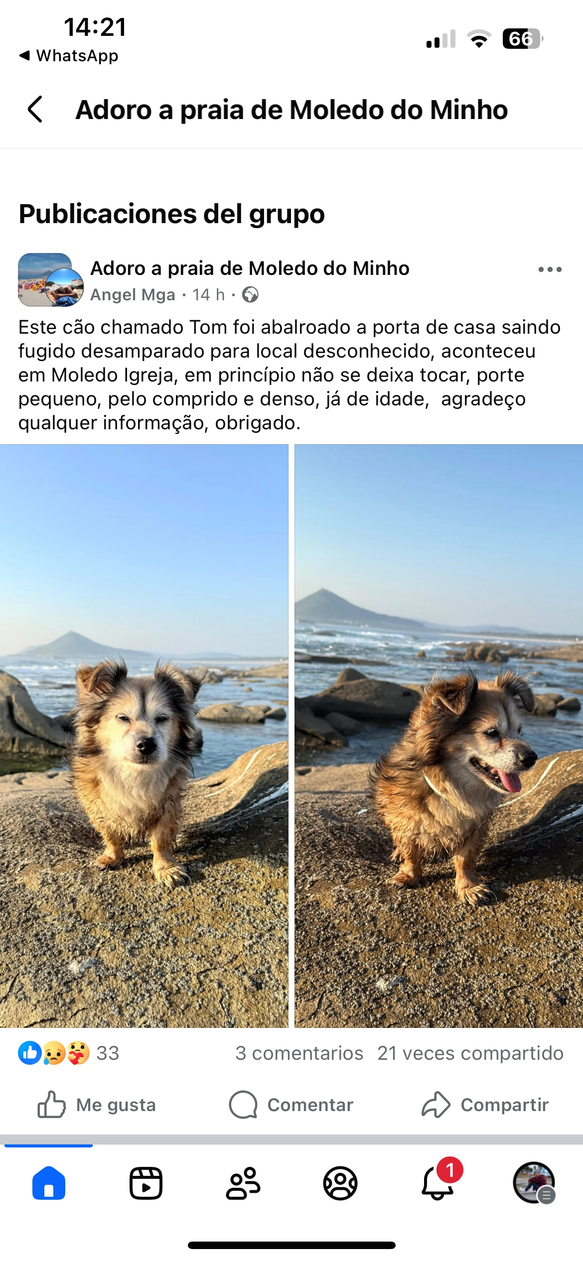 Tom - Rua Do Rovial, Moledo