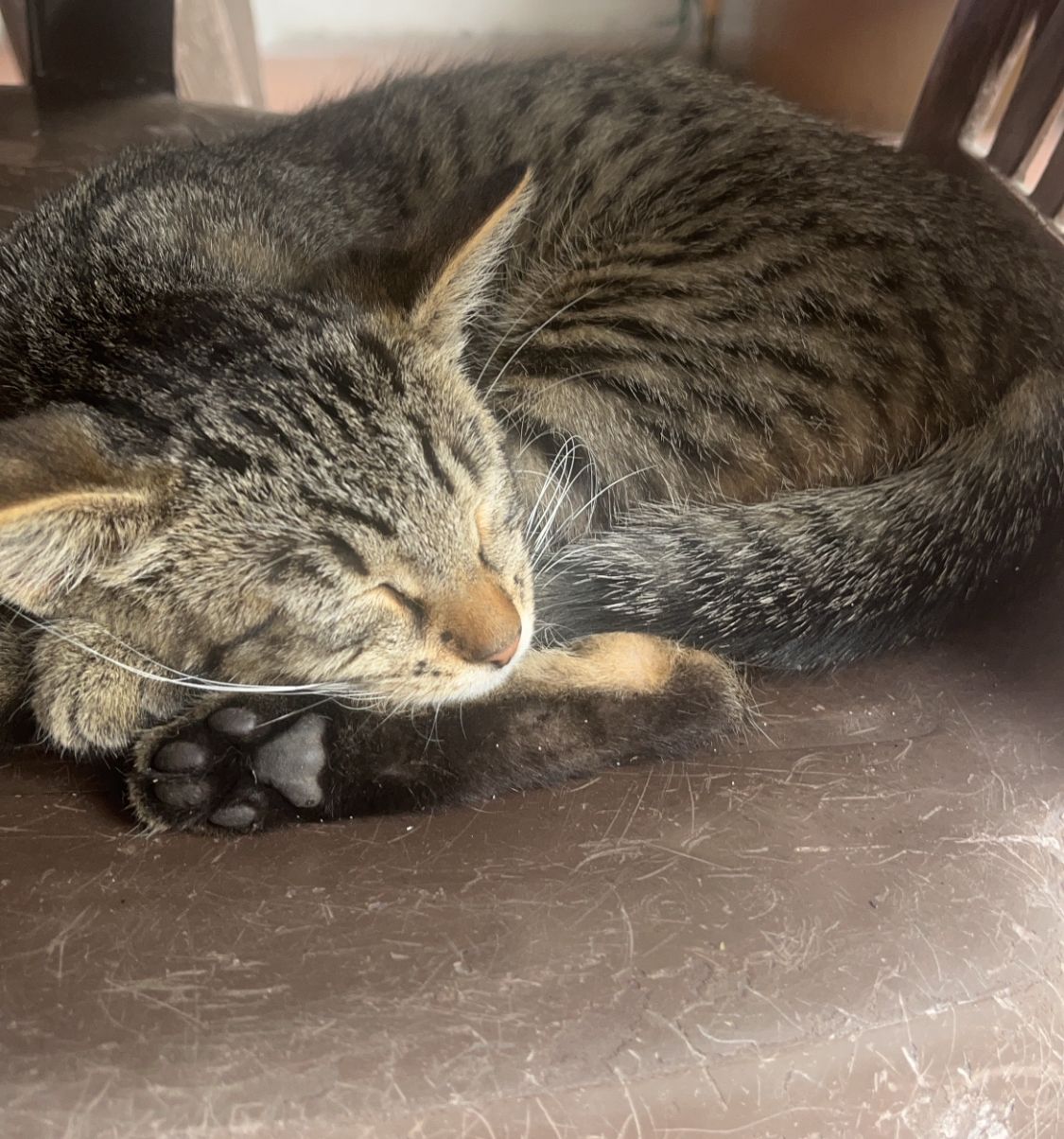 bobina - Rudé Armády, Droužkovice