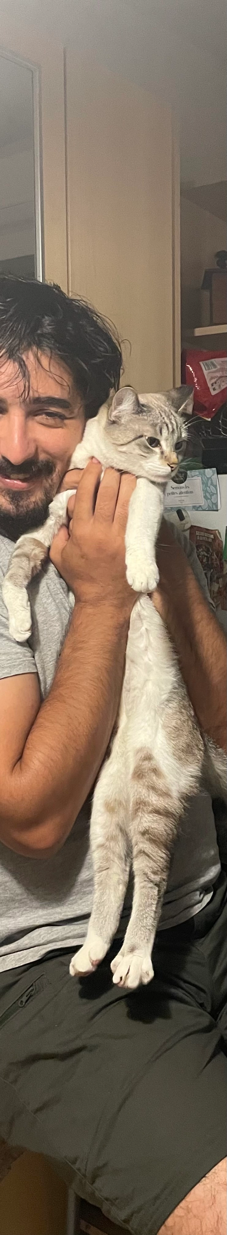 Caline - Impasse Du Villard, Glières-Val-de-Borne