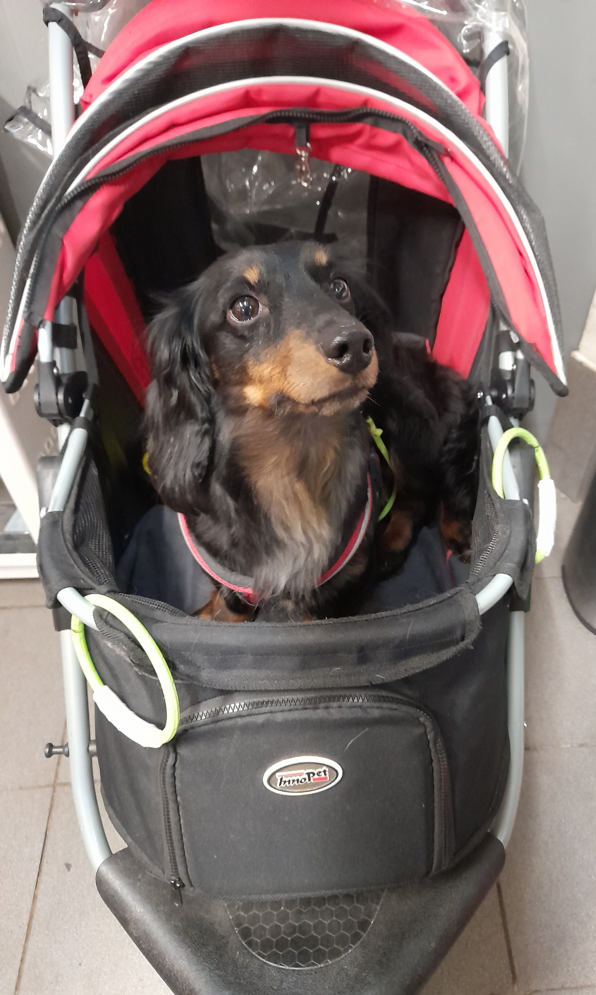 Tara - Turnhoutsebaan, Antwerpen