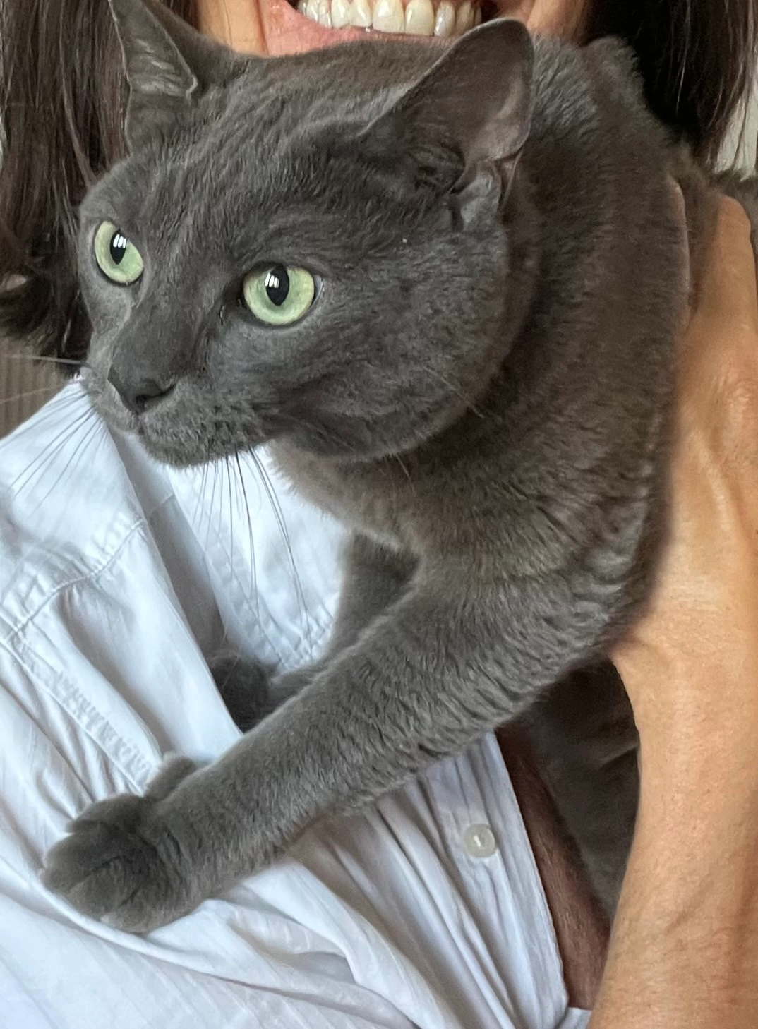 Miou - Rue De La Mariette, Le Mans