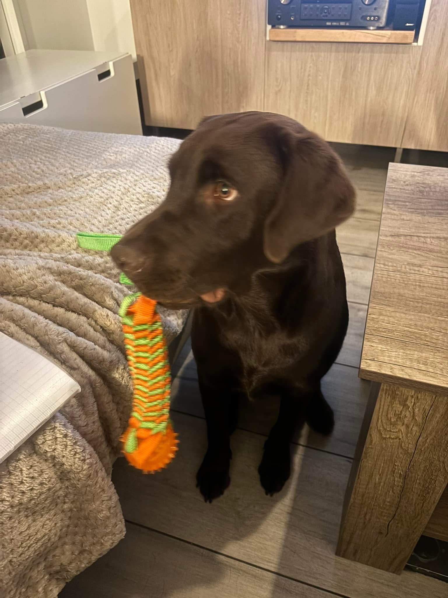 Verso - Rue Des Pressoirs, La Chapelle-Palluau