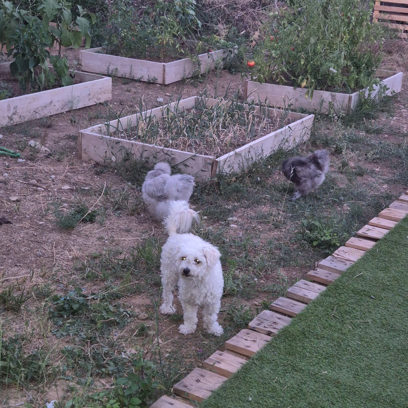 Milo - 970 Avenue des Hespérides, Balaruc-les-Bains