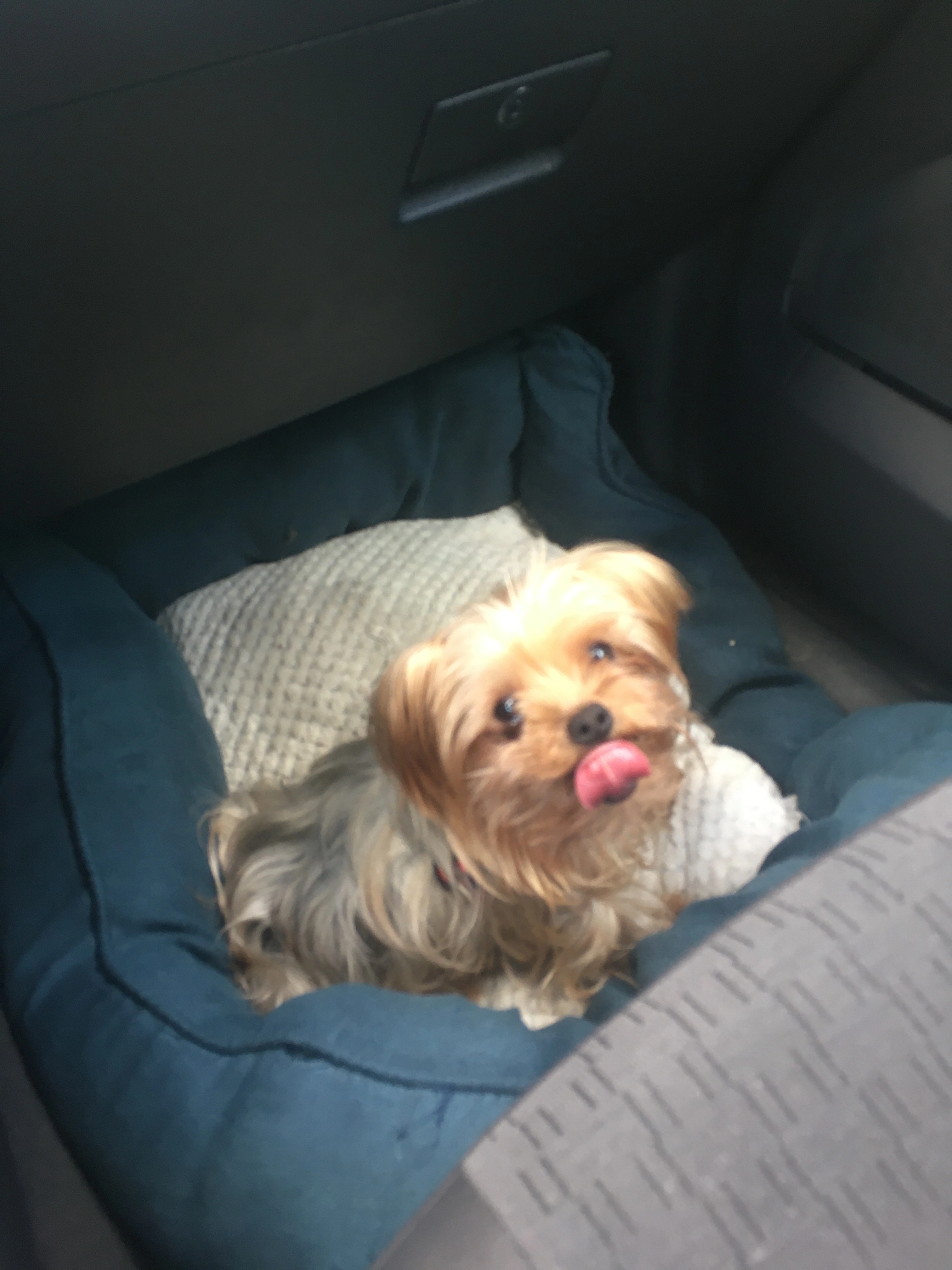 Jessi - Friedrich-Panzer-Weg, München