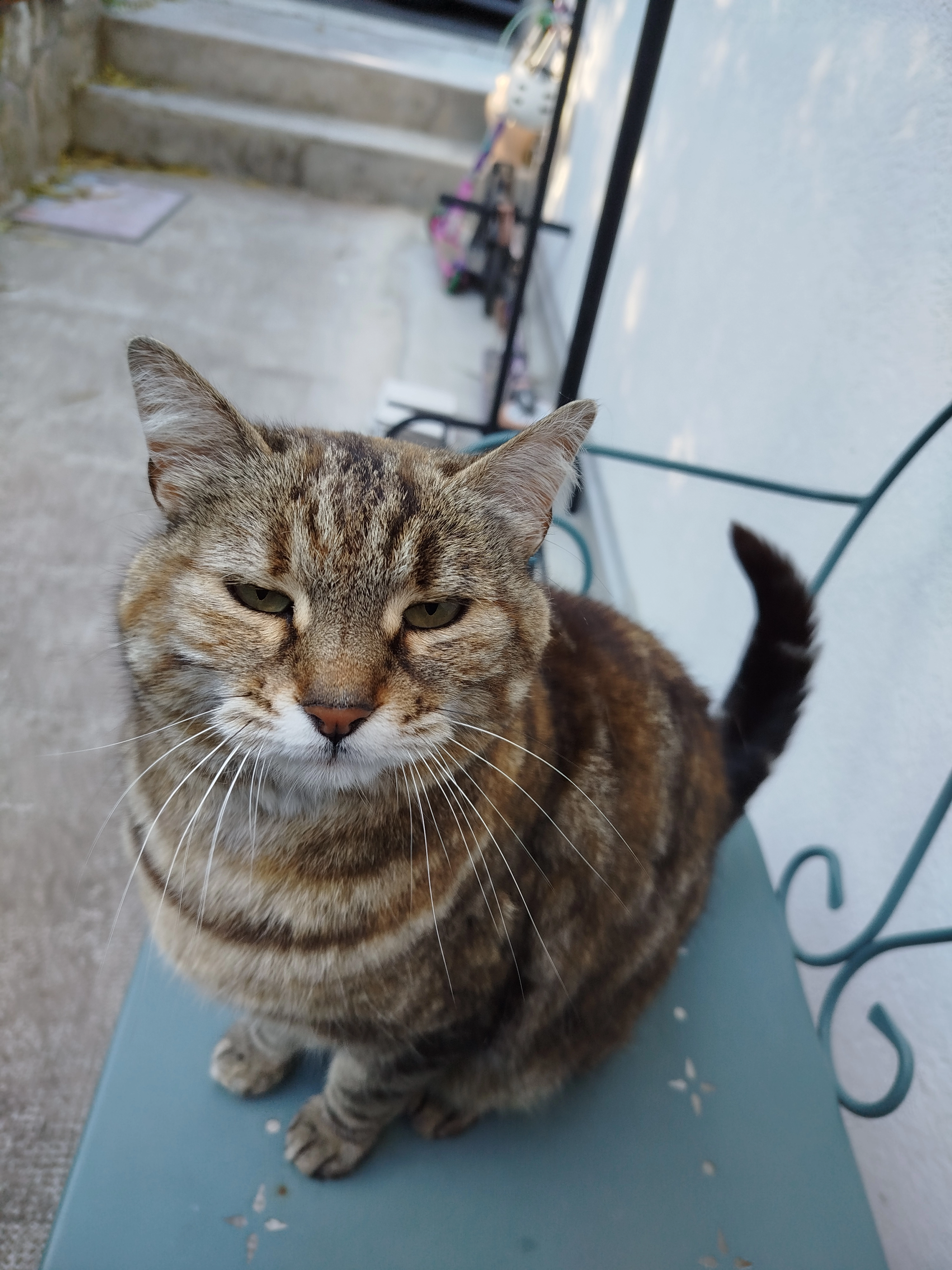 Clochette  - 38320, Eybens