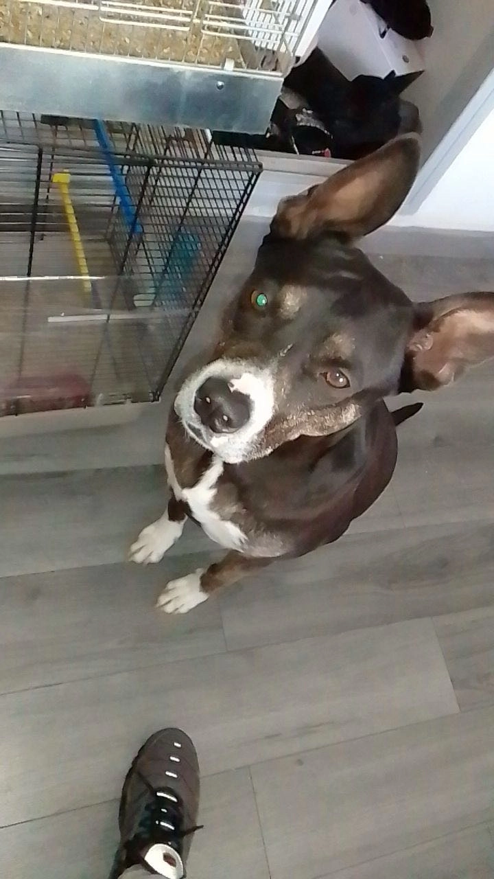 Tina - 13003, Marseille