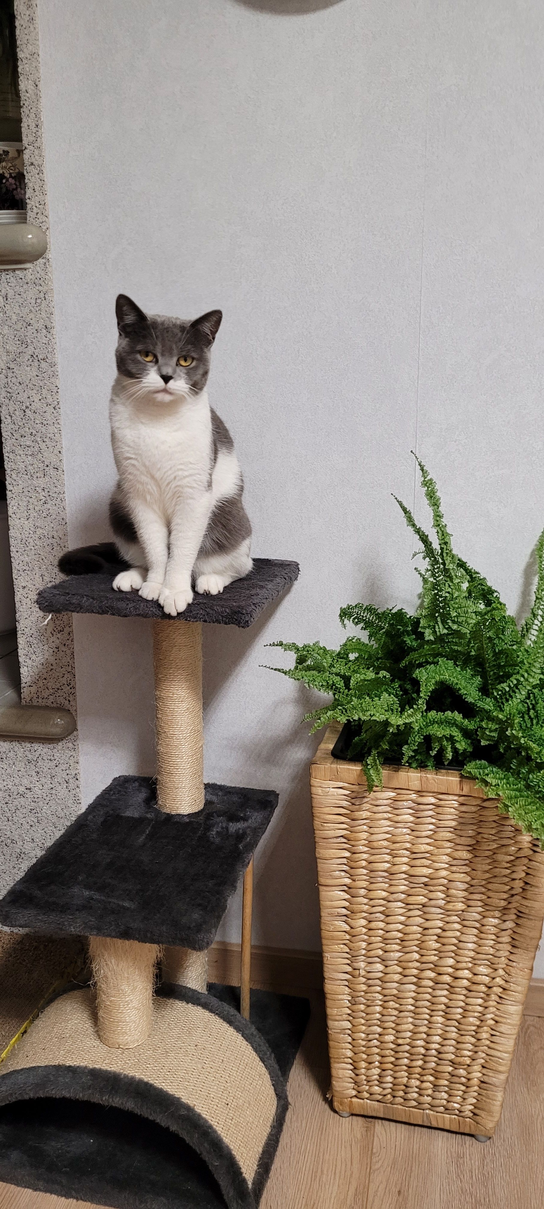 Sanny - Im Gehäge, Hambühren