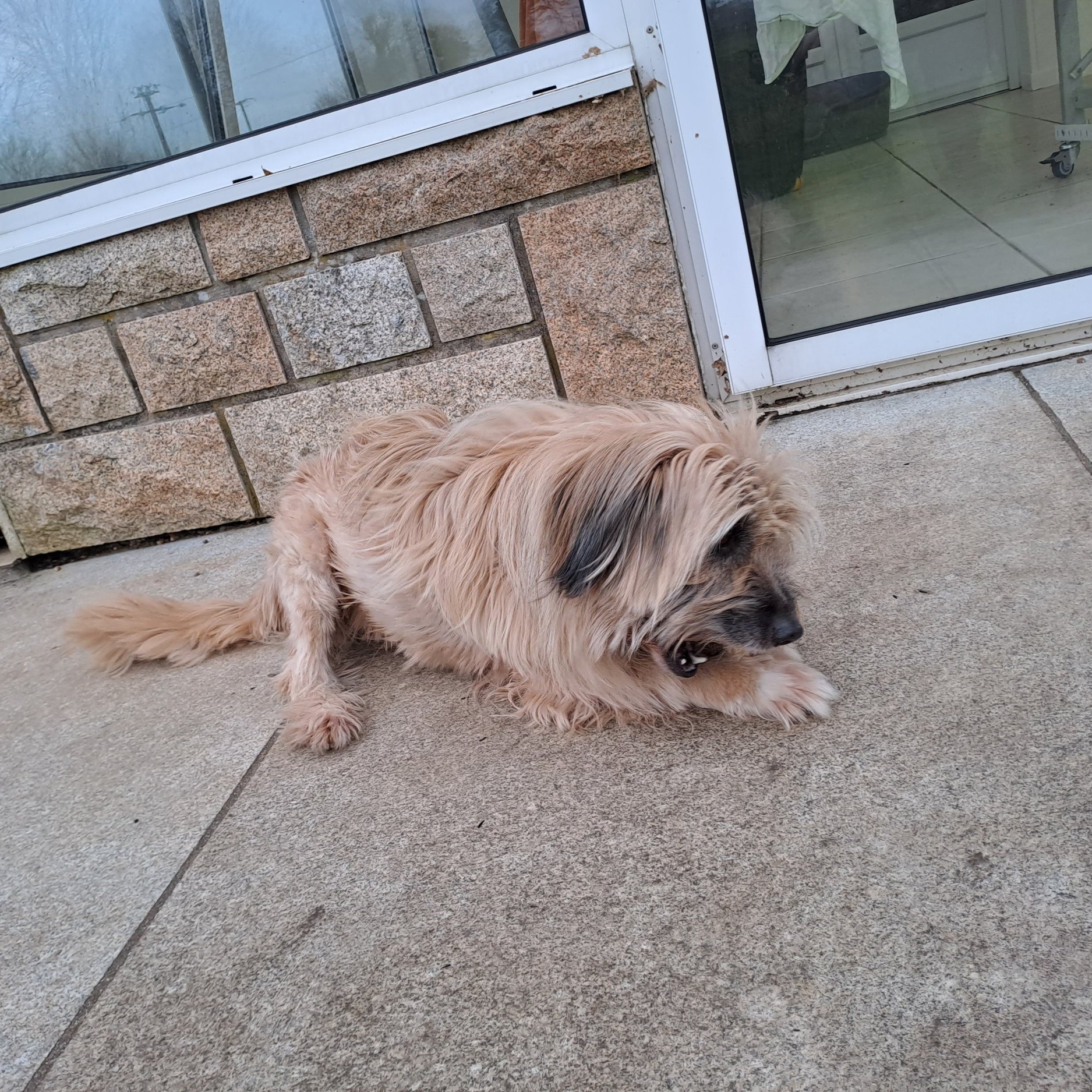 Floyd - Ker Dudy, Trémaouézan