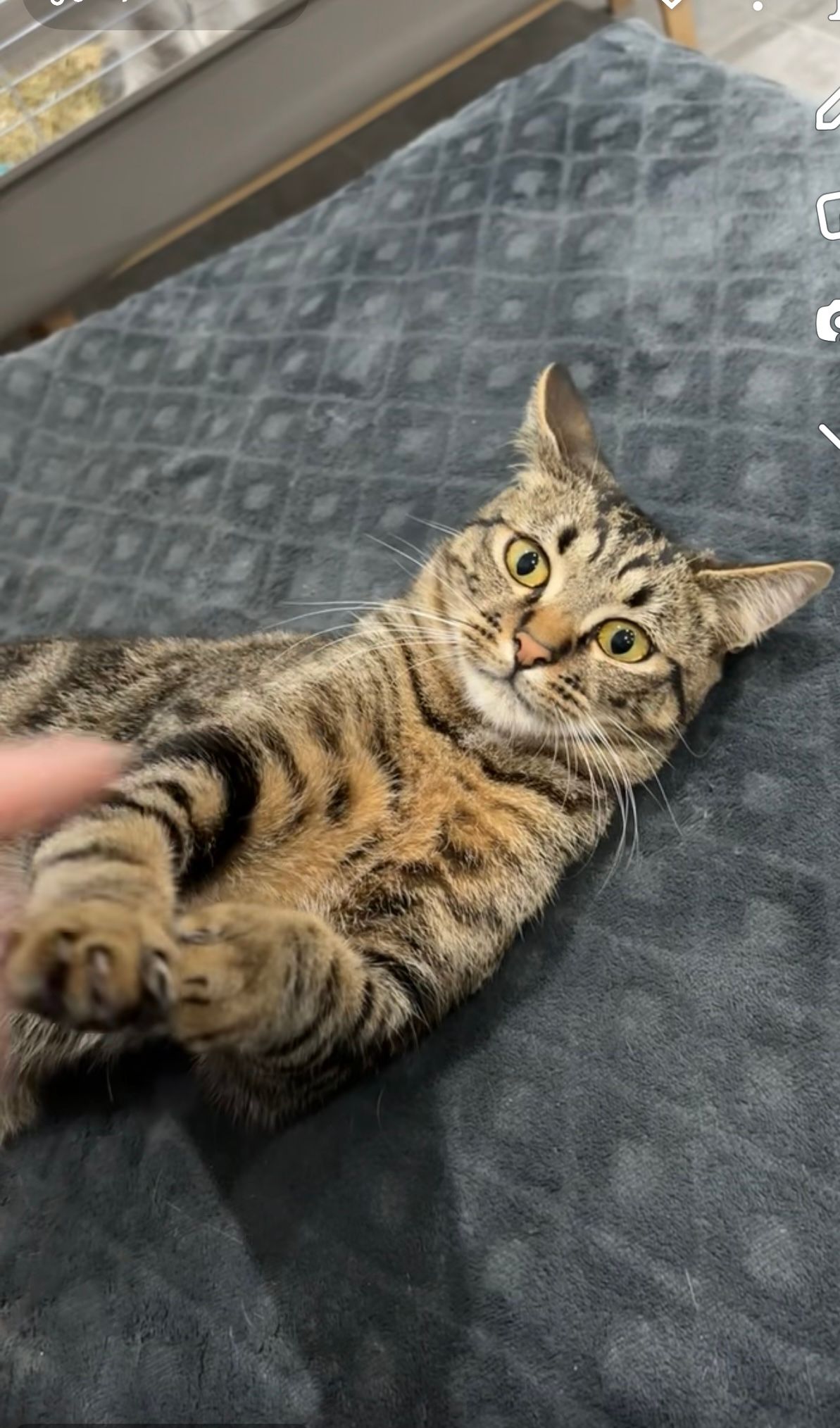 Hermes - Avenue Jean Jaurès, Roye