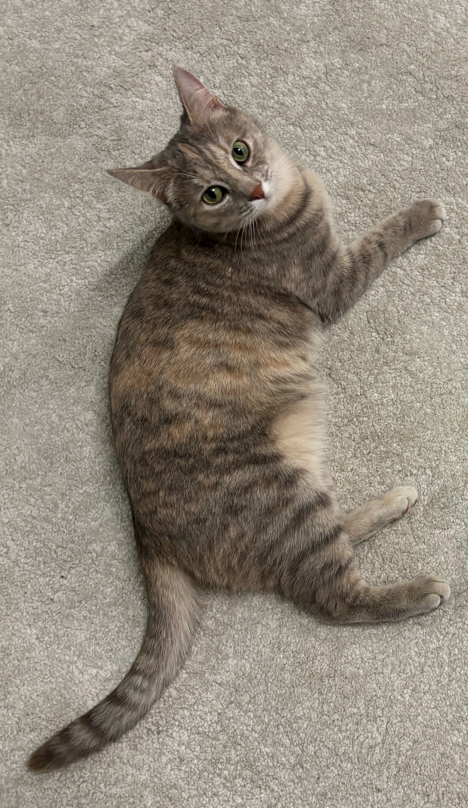 Isi - Hofriedenstraße 26, Lochau