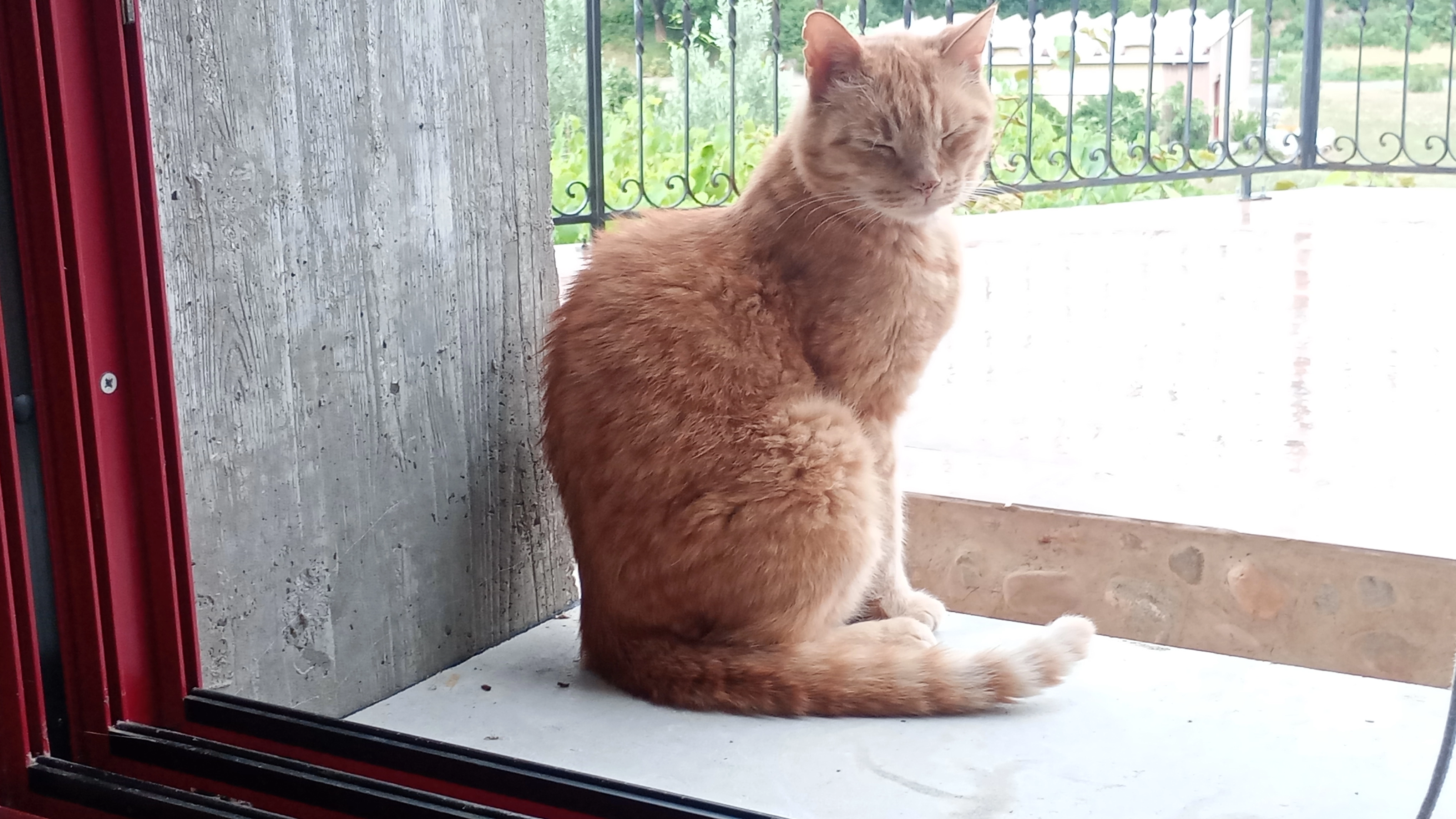 Boileau - Route Du Grand Pont, Saint-Jean-de-Muzols