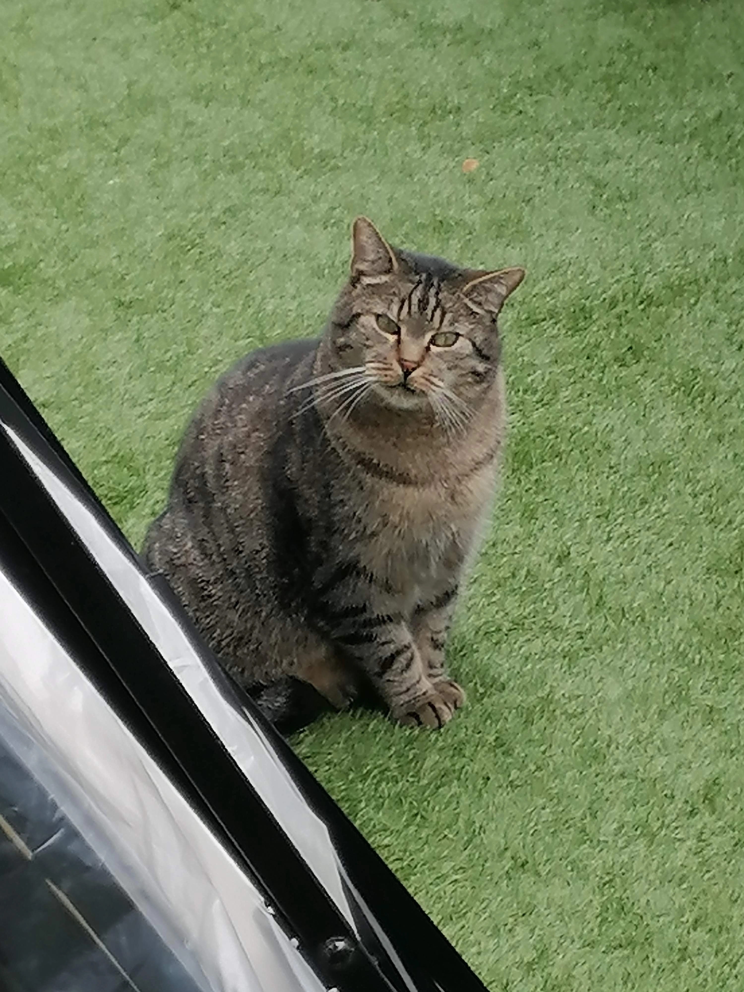 Romeo - Allée Du Musée, Villeneuve-d'Ascq