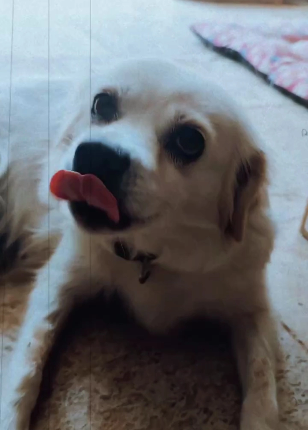 Lutka - Chemin Des Rocans, Sauzet