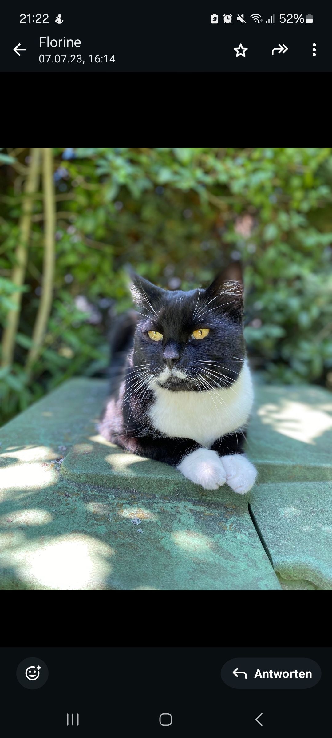 Felix - Zollstädter Straße, Volkmarsen