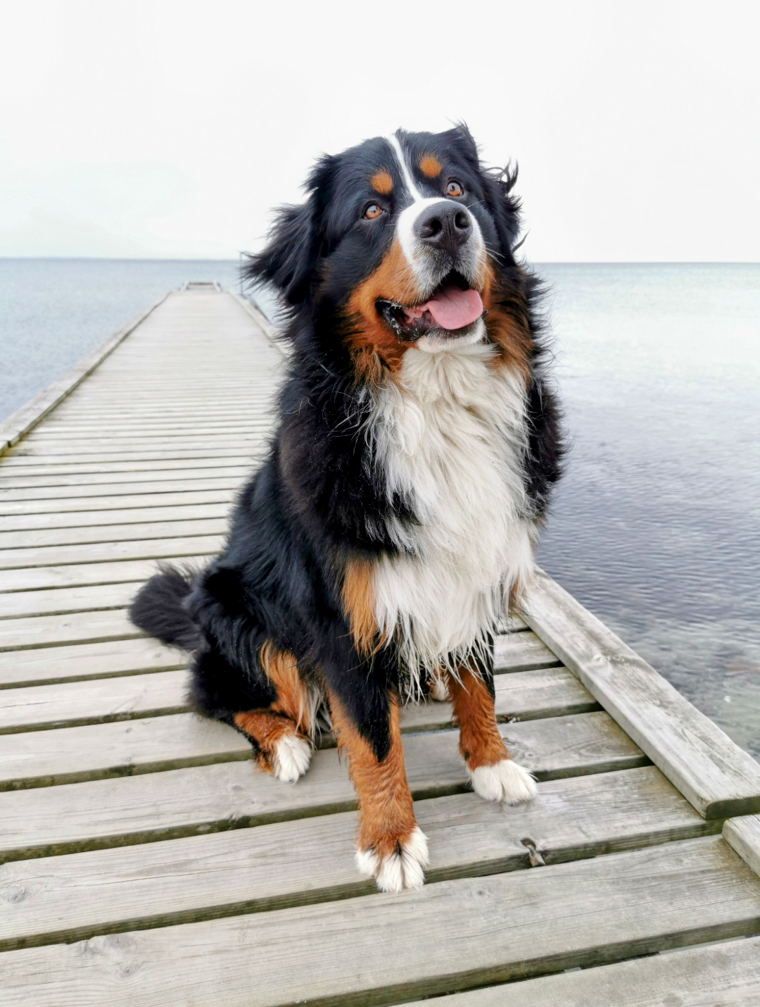 Einstein - Rosenstraße 20, Fockbek