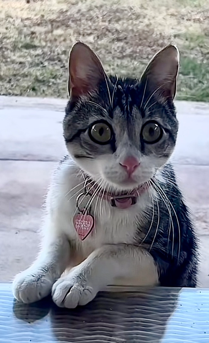 Venus - Paseo Del Mar, San Roque