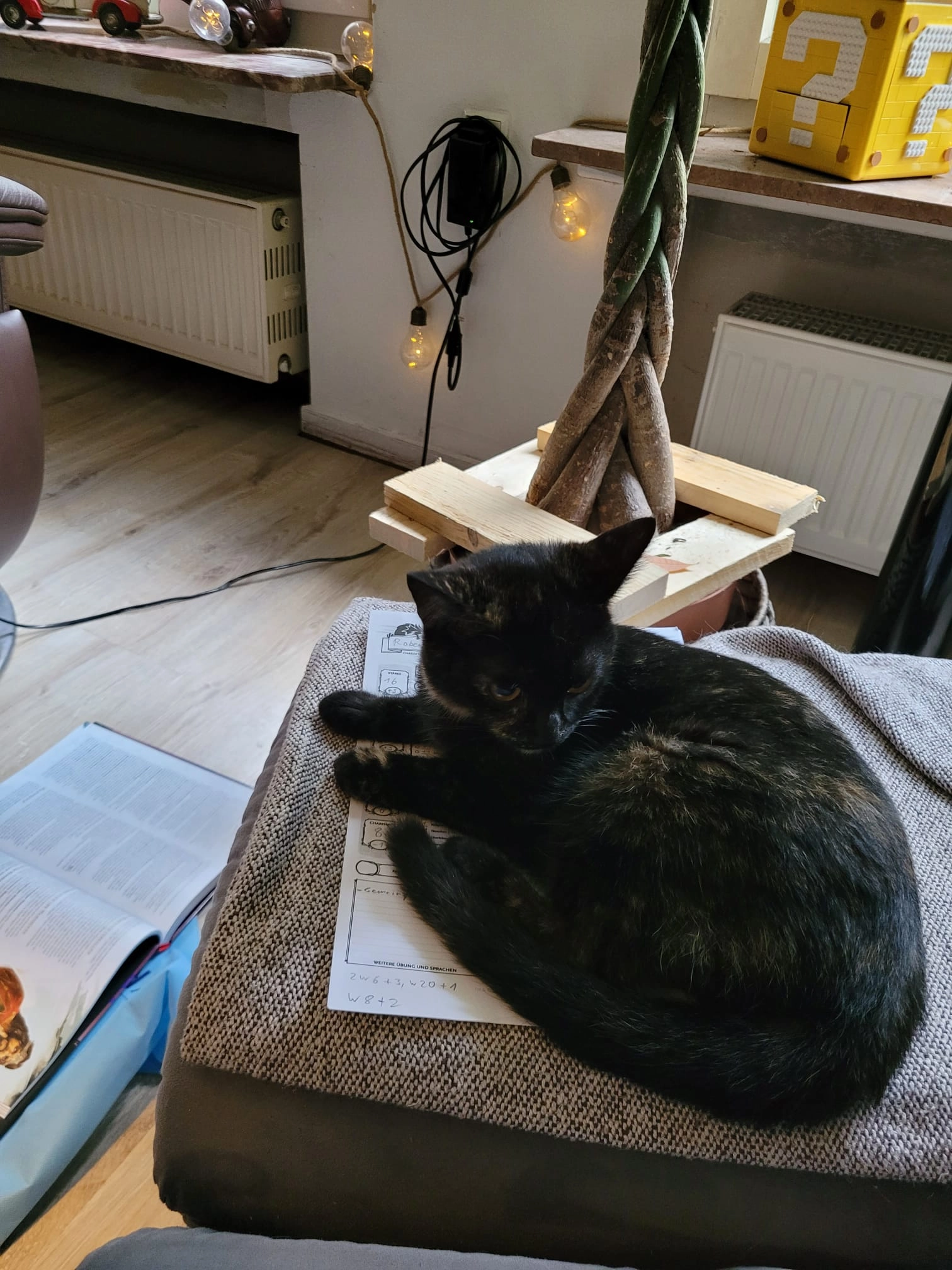 Nami - Neustadt, Ebergötzen