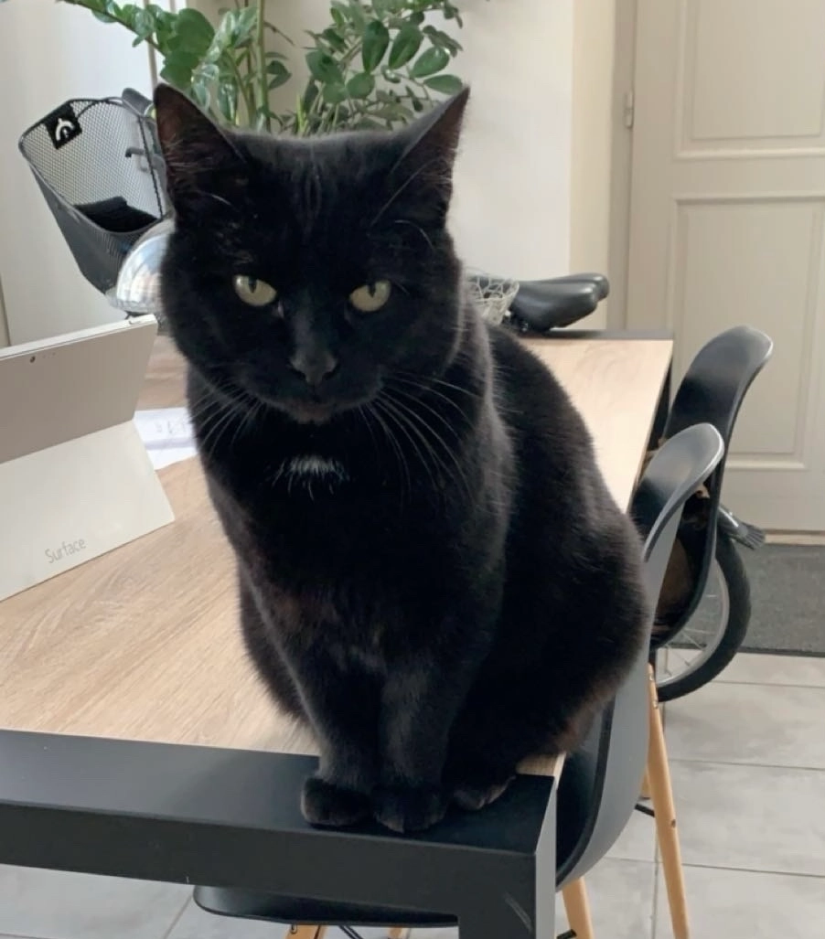 Rita - 8 Rue de Caurel, Berru