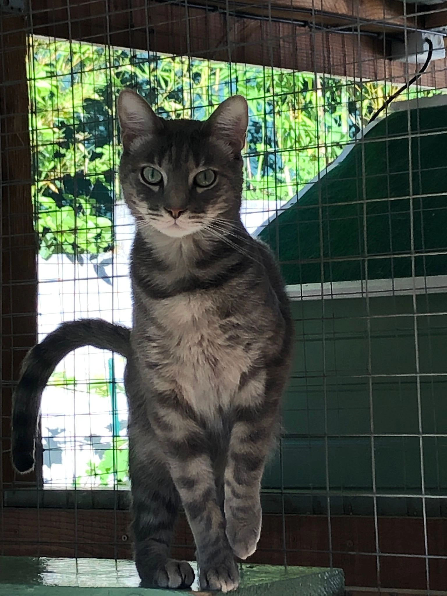 Snickers - 9 avenue jean aurillon , Générac