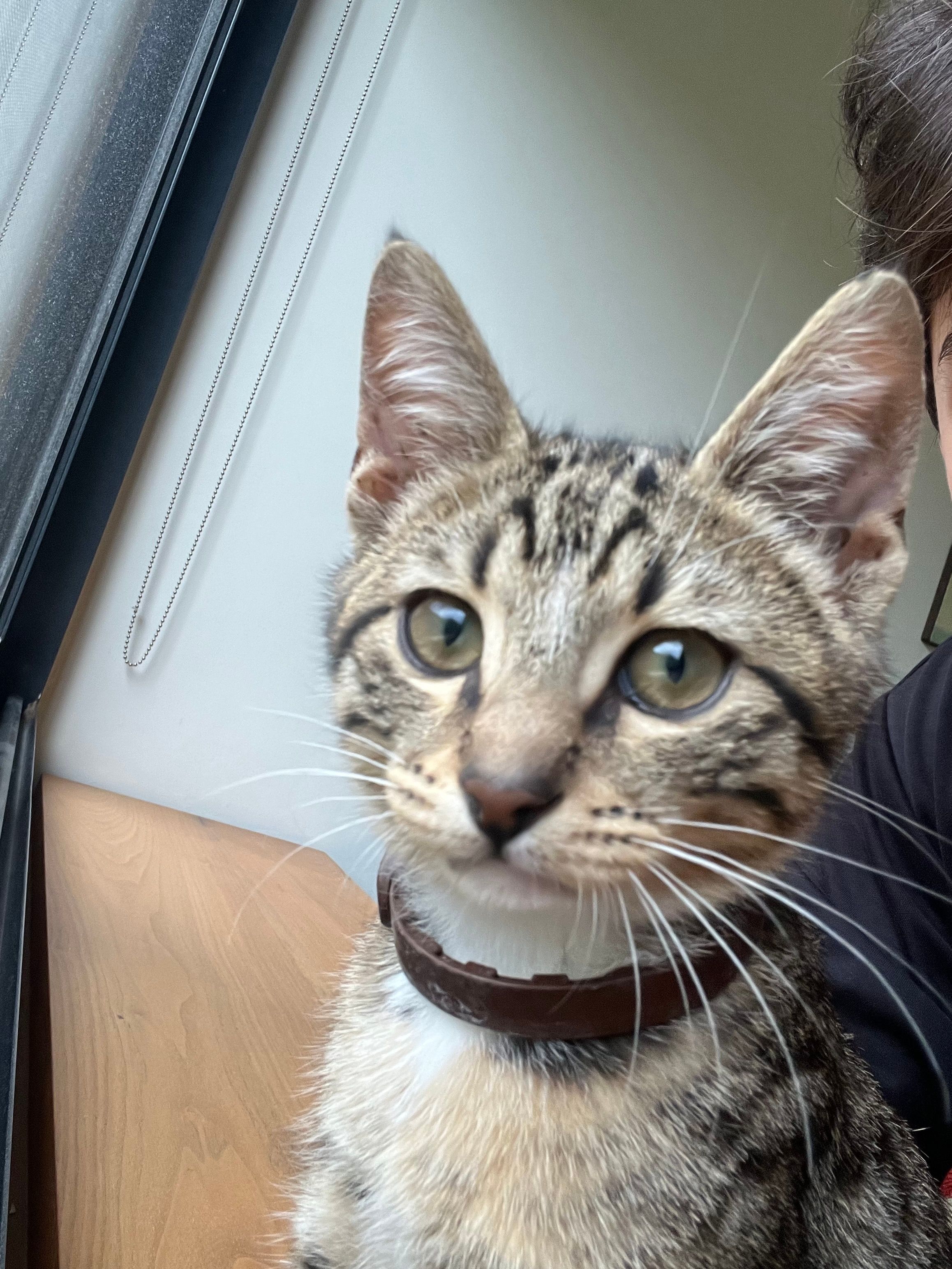 Lily - Sahel Aalma, Keserwan District