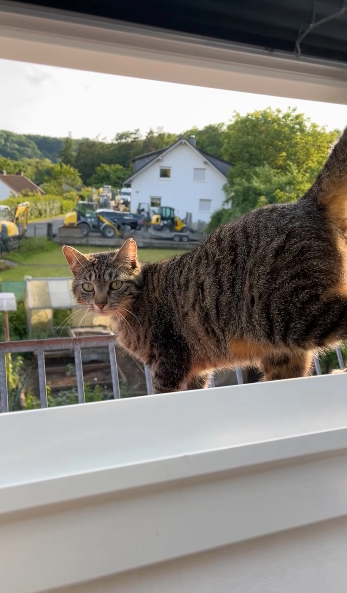 Misha - Meisenstraße, Herzberg am Harz