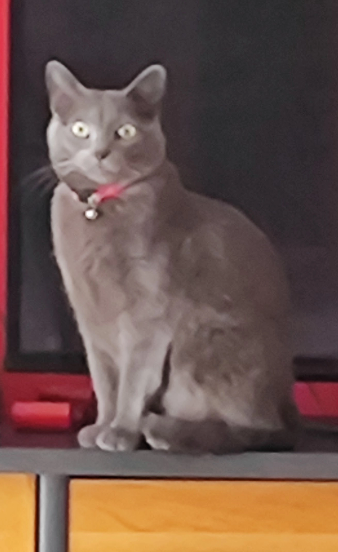 Dana - Carrer dels Cintaires, Manresa