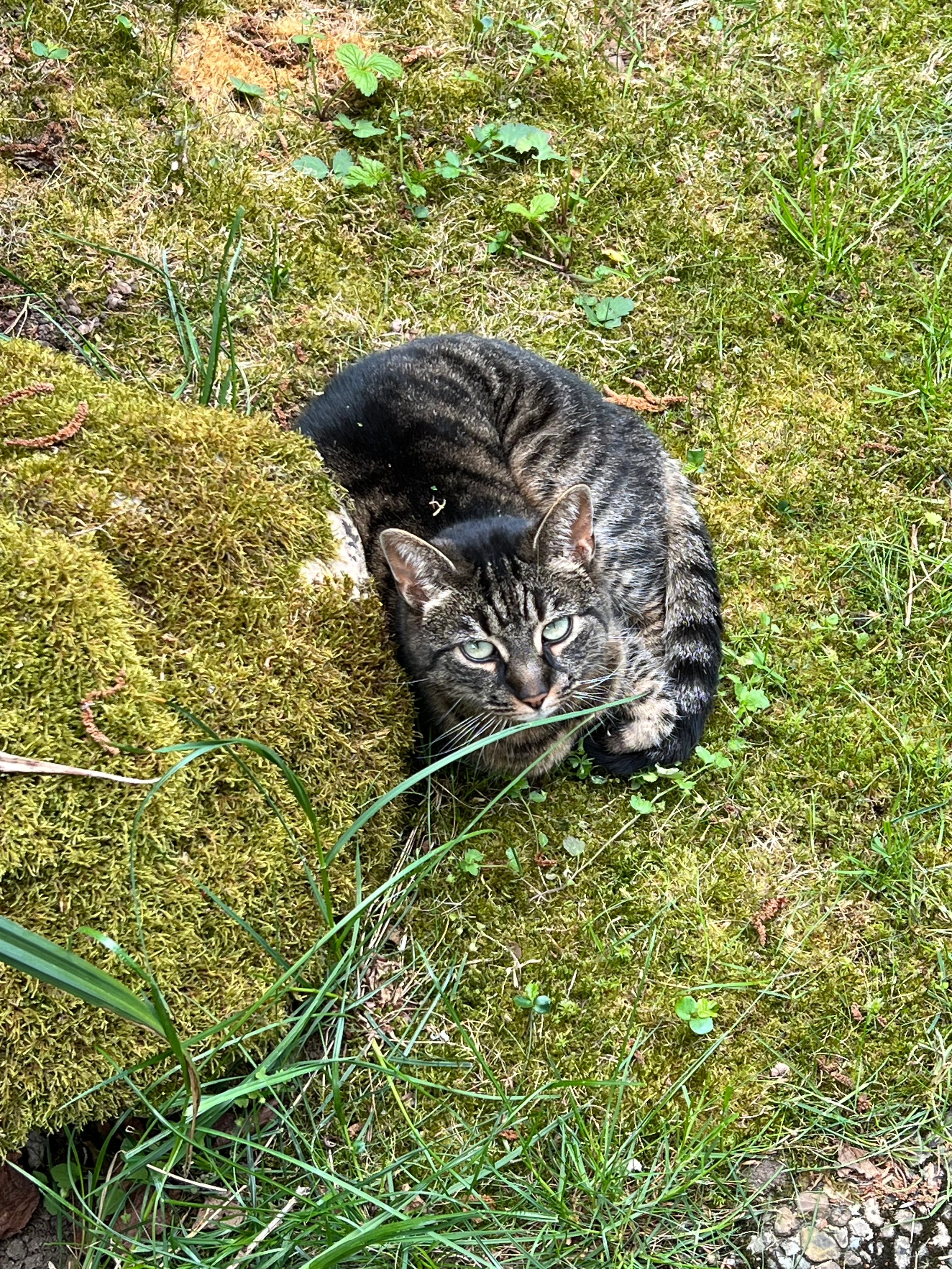 Lucy/Ventor  - Köstlerstraße, Ammerthal