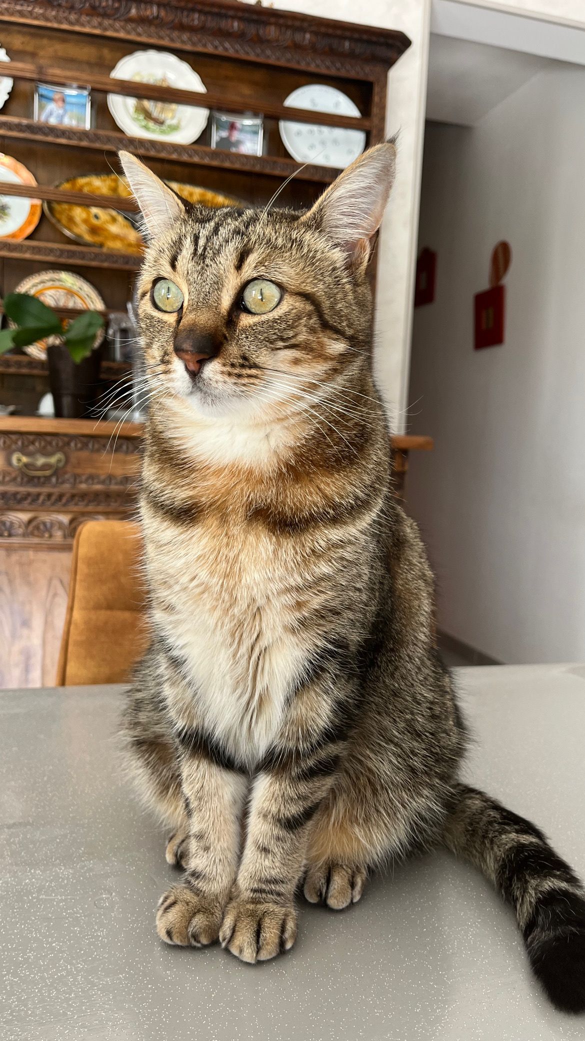 Pupple - Allée Leur Vras, Lanmeur