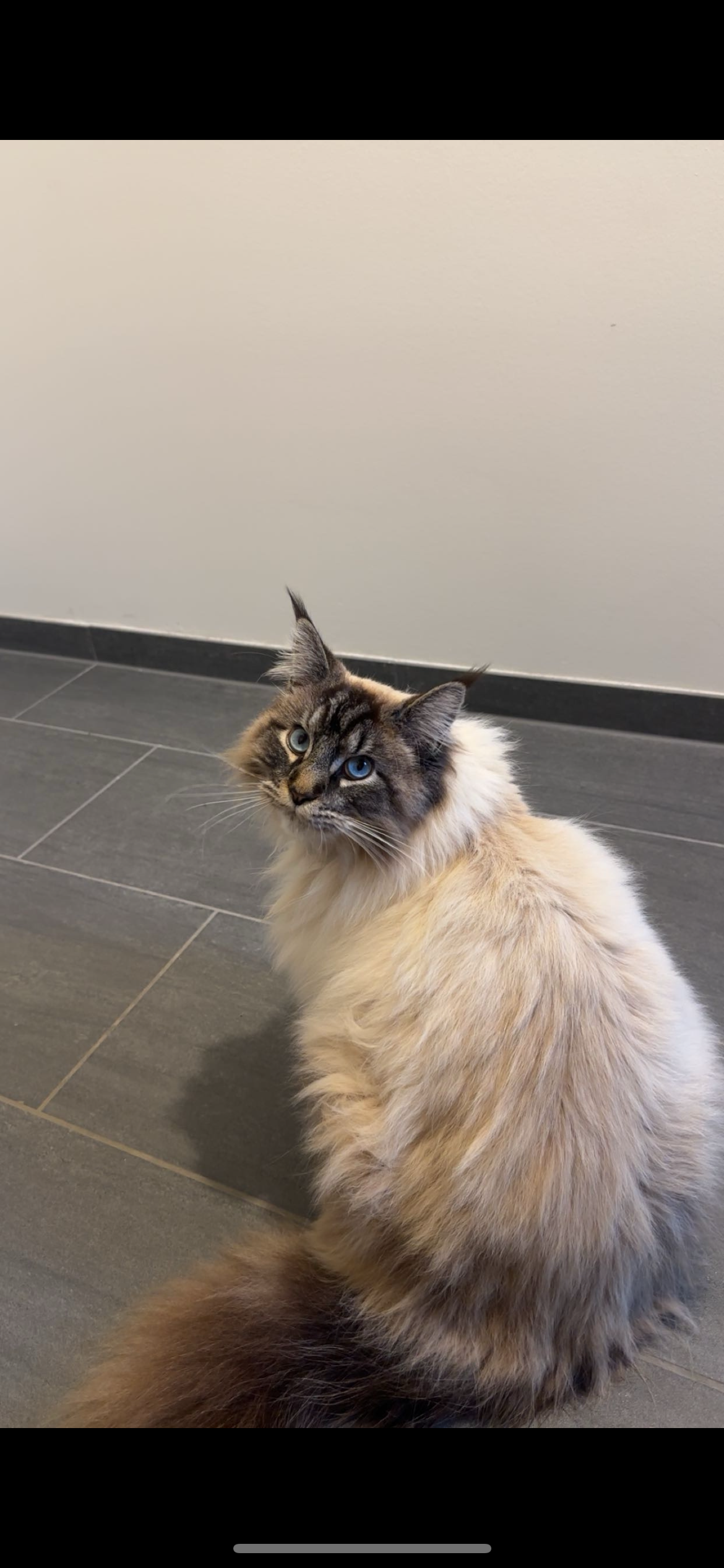 Medo - Im Jägeracker, Emmendingen