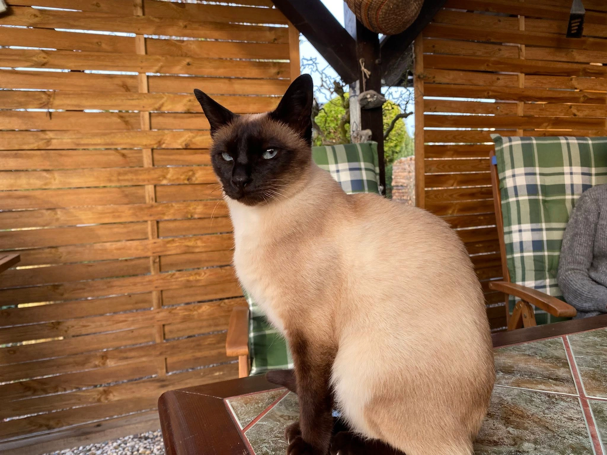 Lotti - Am Eichengraben, Forst