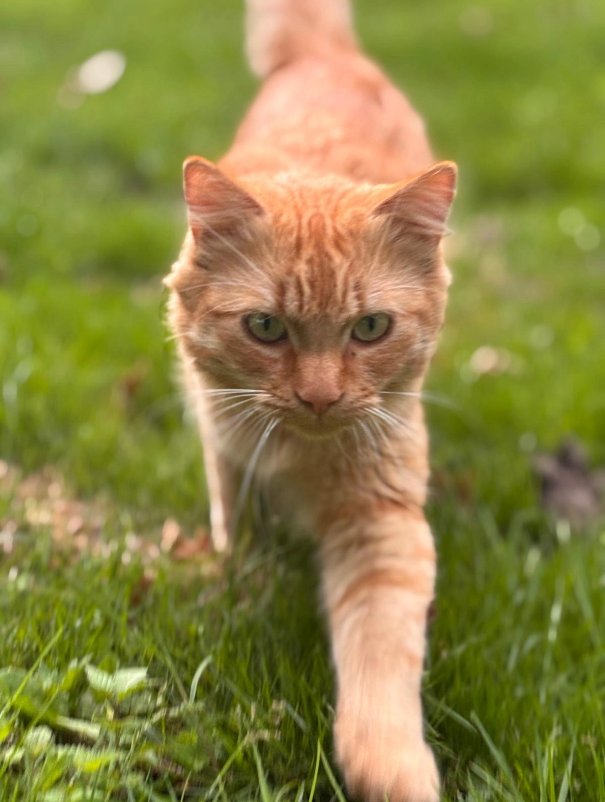 Hendrik - Vinckenweg, Geesteren