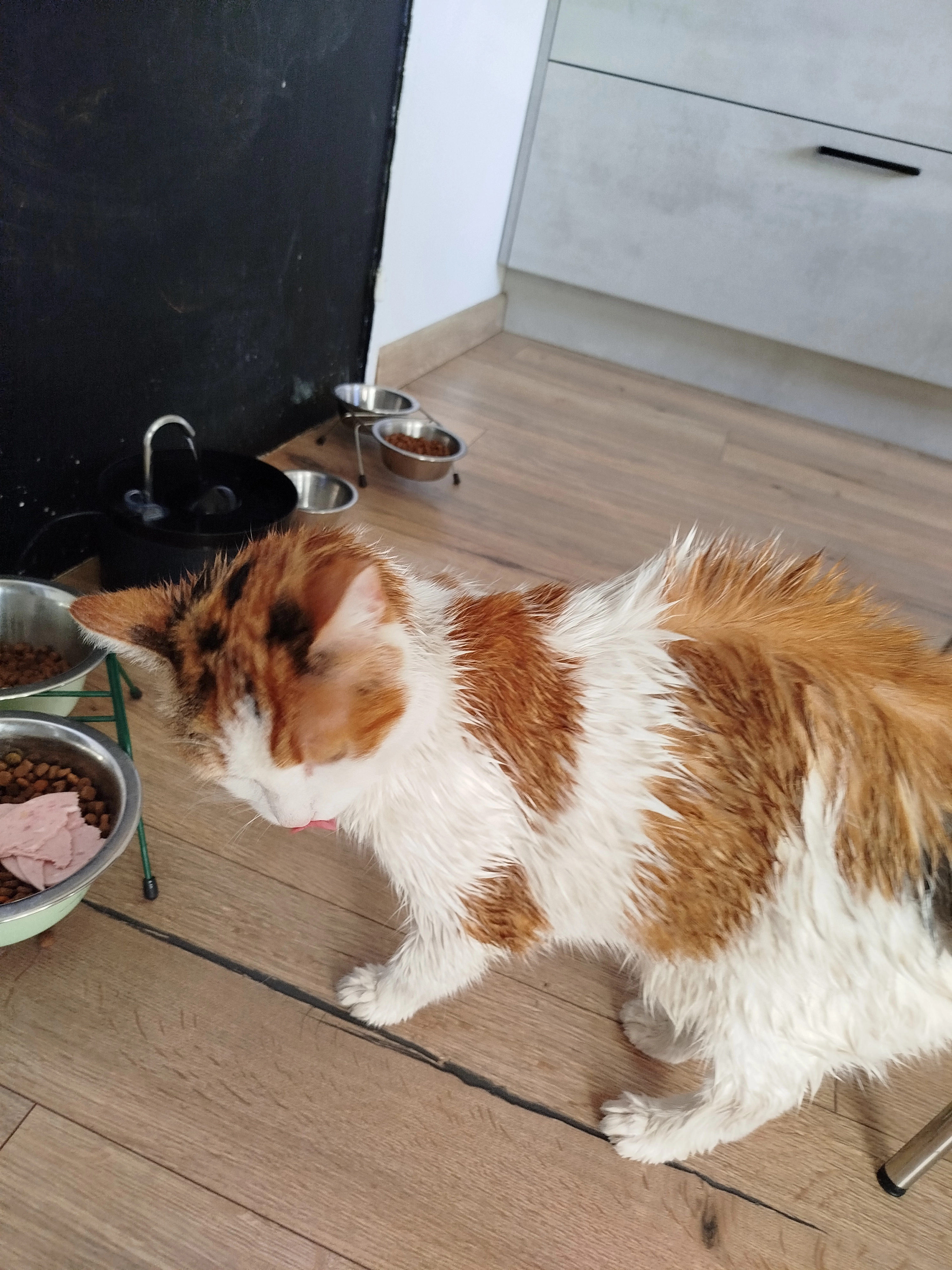 Happy - Rue de l'Extenwoerth, Strasbourg