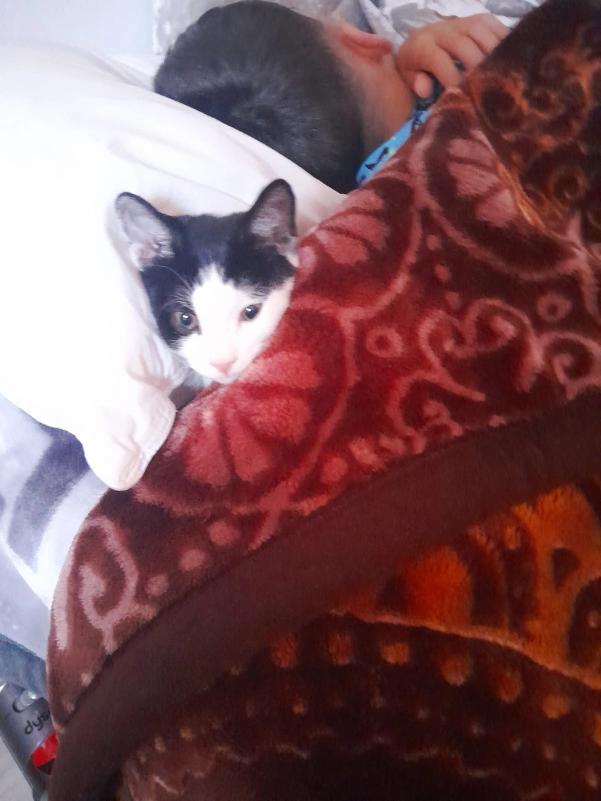 Milo - Rosenthaler Straße, Ralbitz-Rosenthal